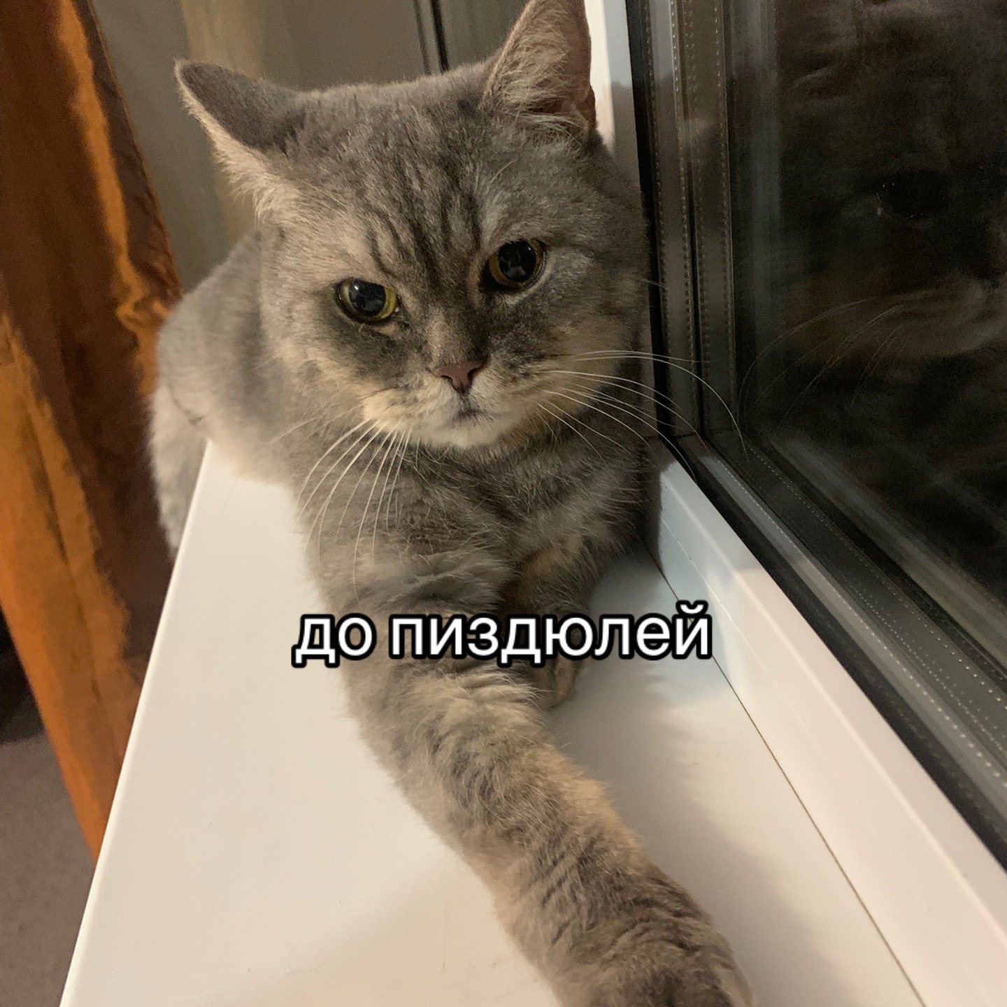 @¿¿¿¿????@