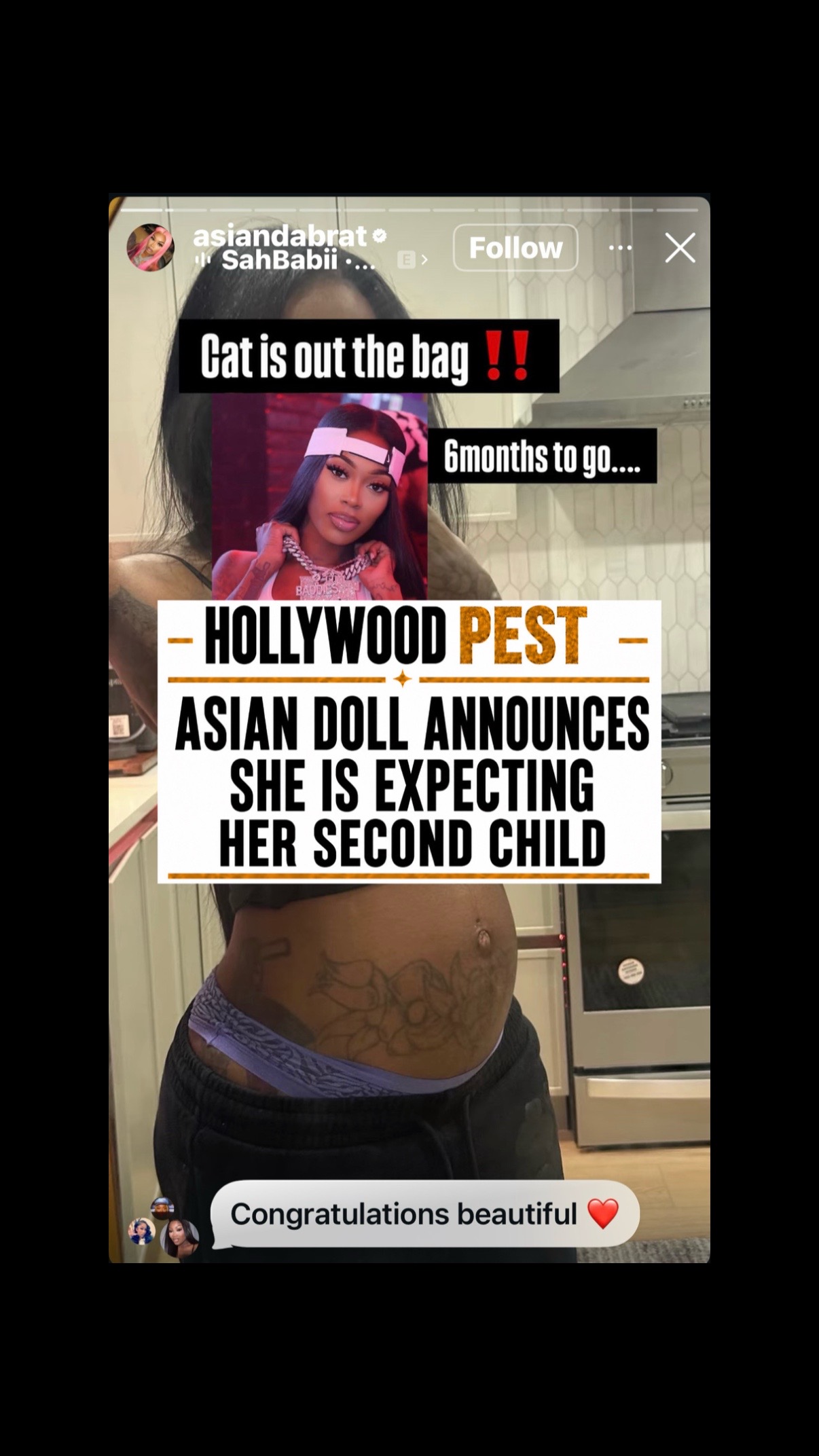 @hollywoodpest
