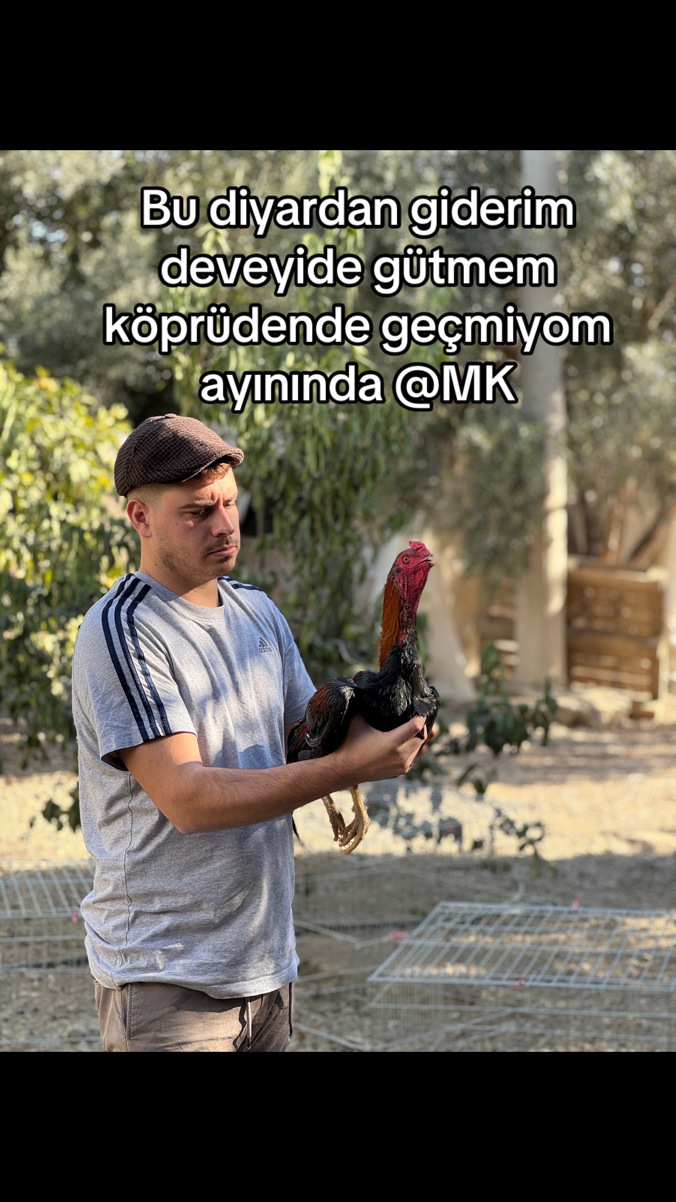 @Anıl Uyar