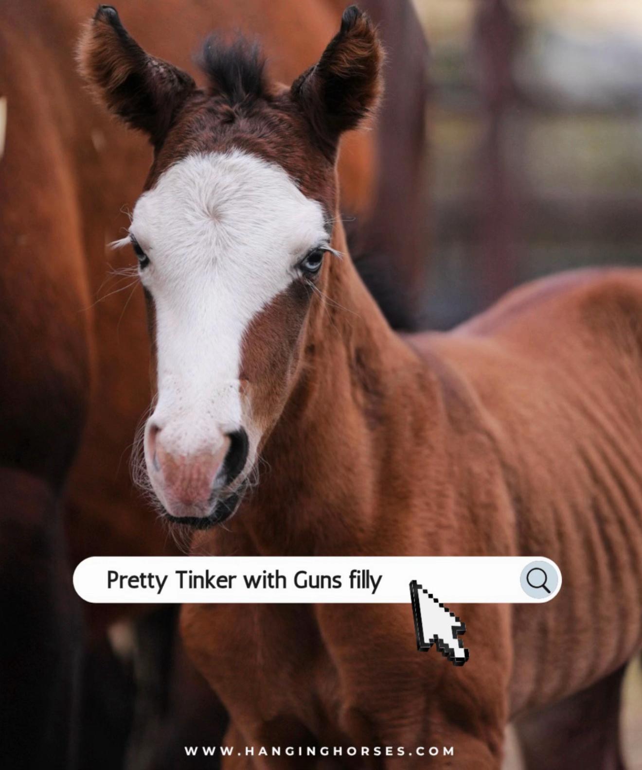 @Hanginghorses