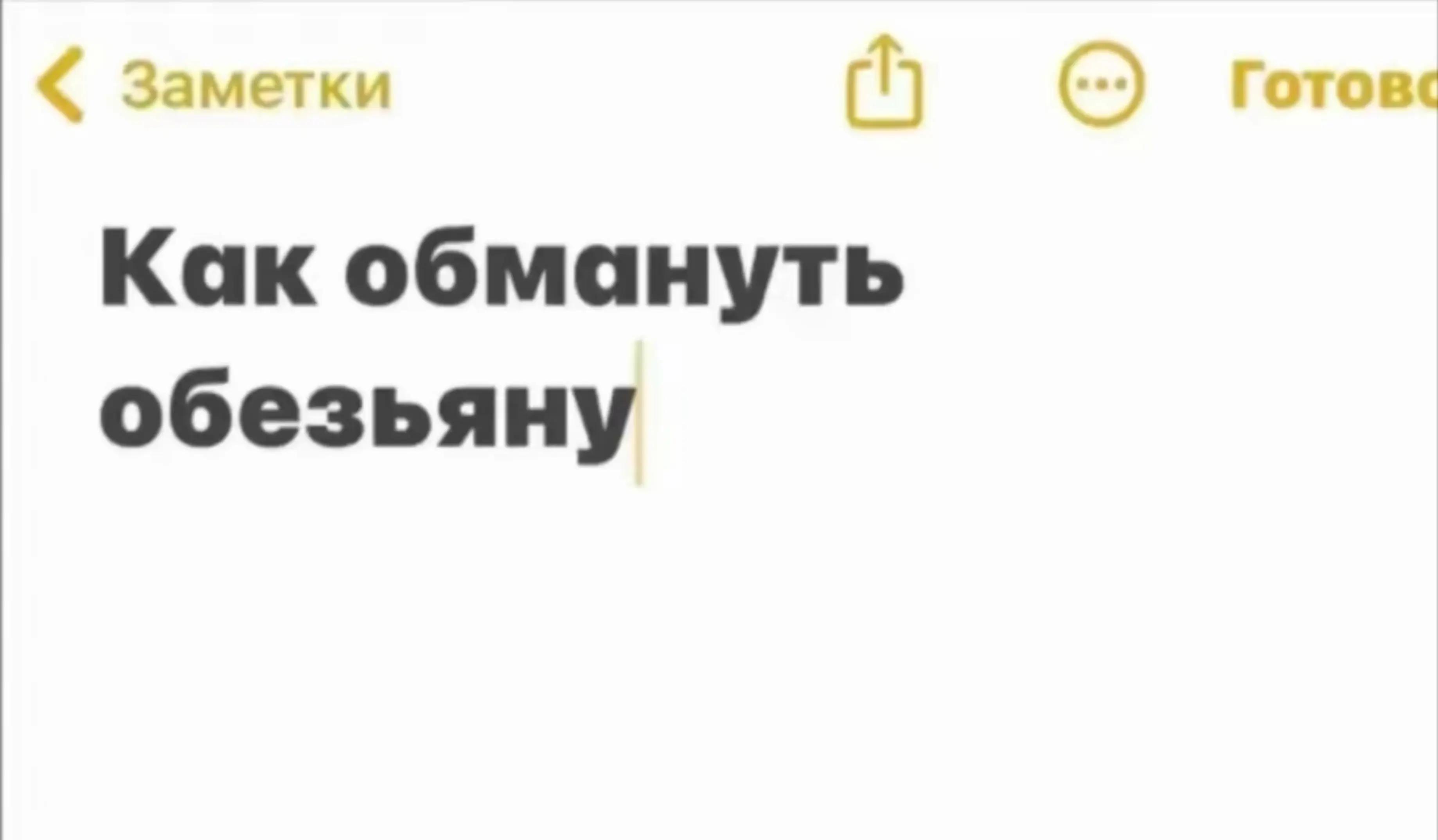 @obloko n1