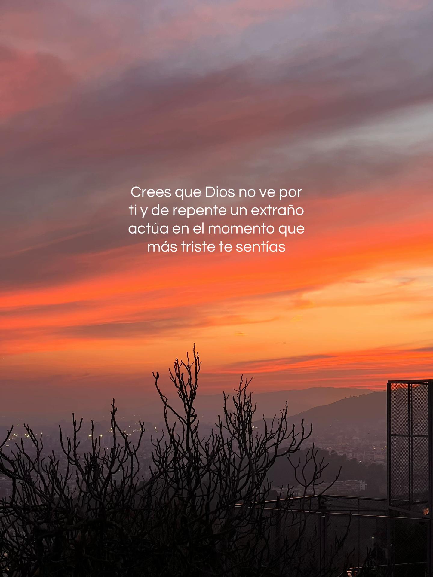 @Ivianis Moreno