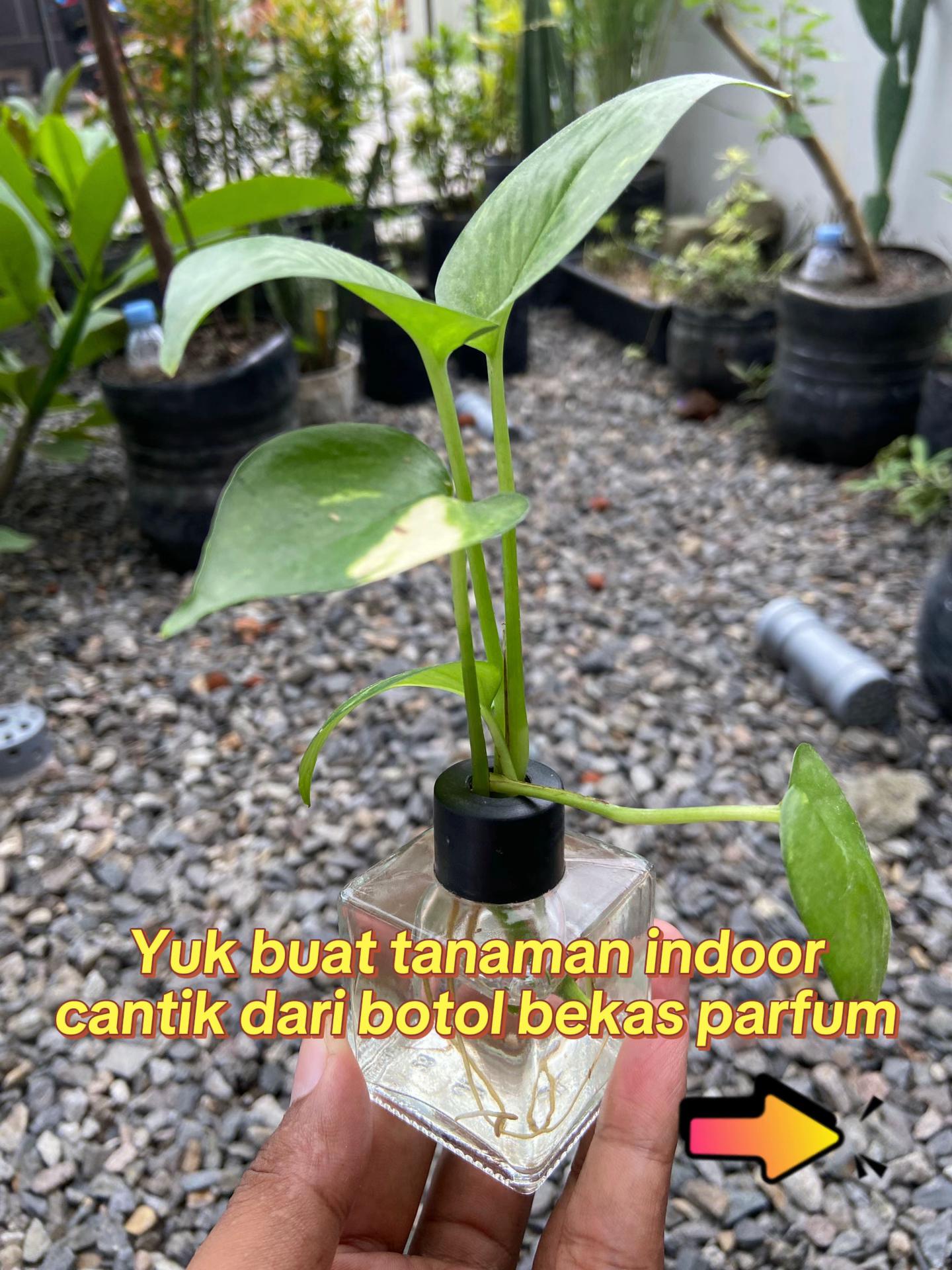 @Rumah Bertiga