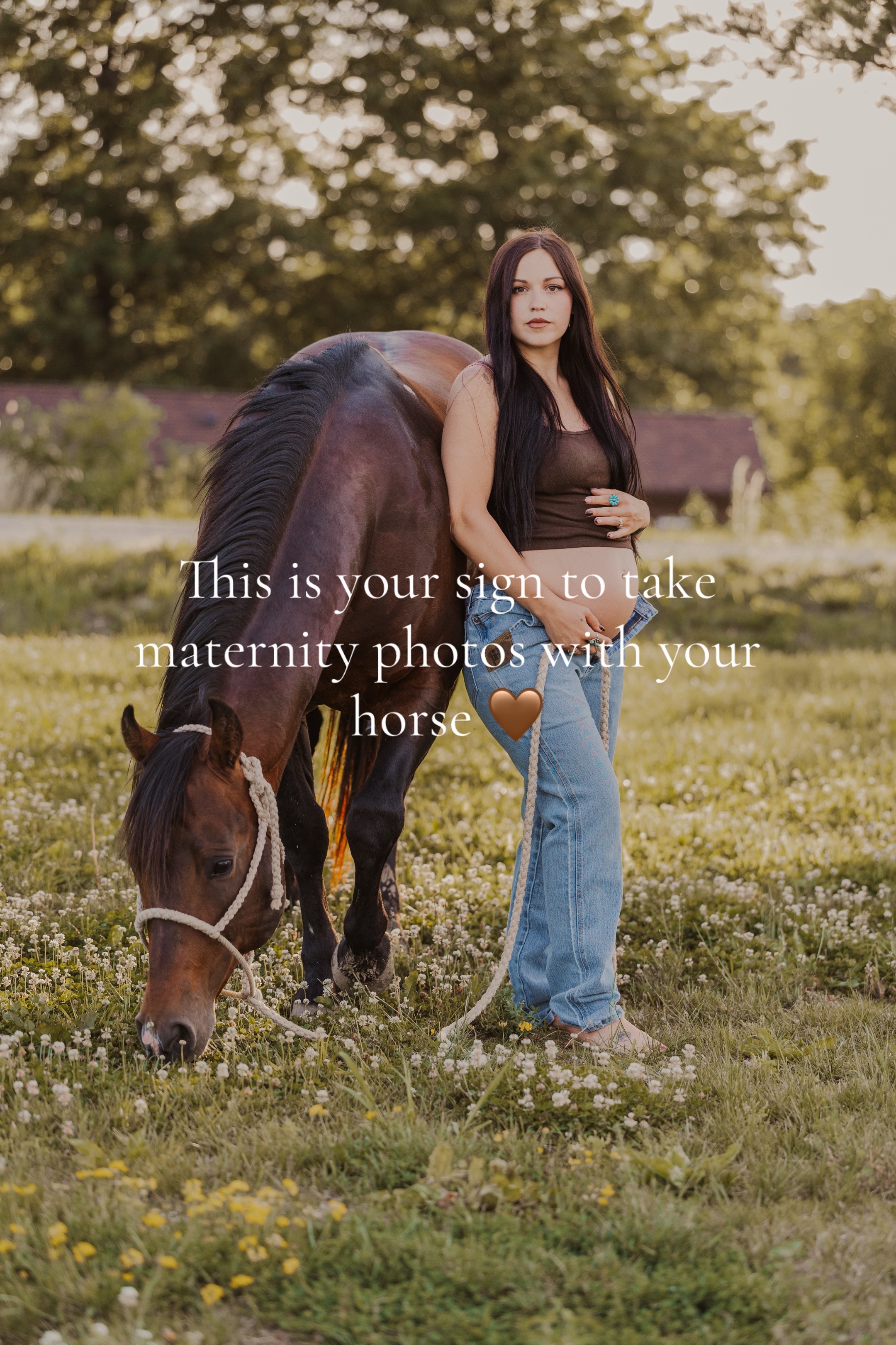 @Living Lucky Quarter Horses