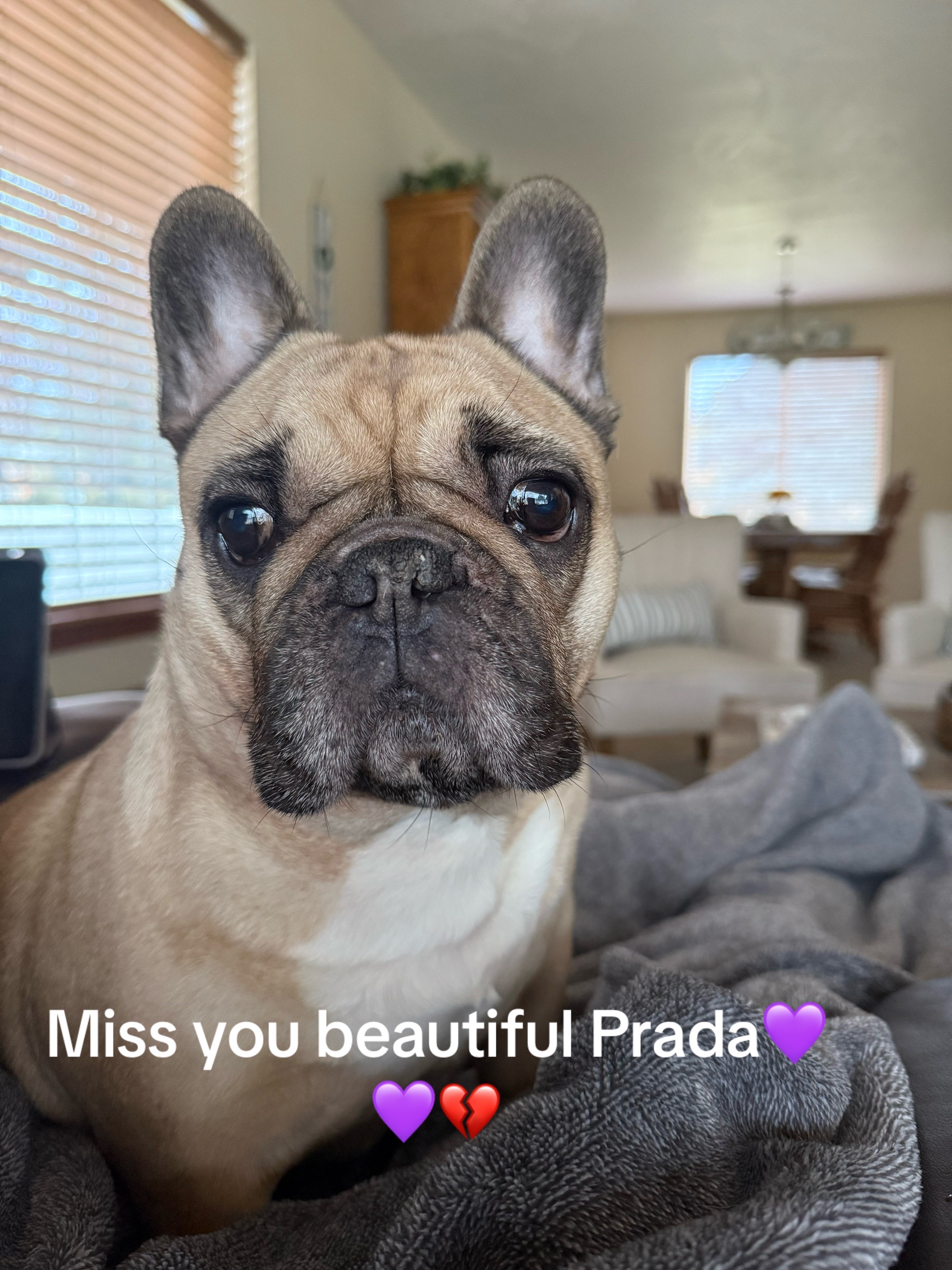 @Prada