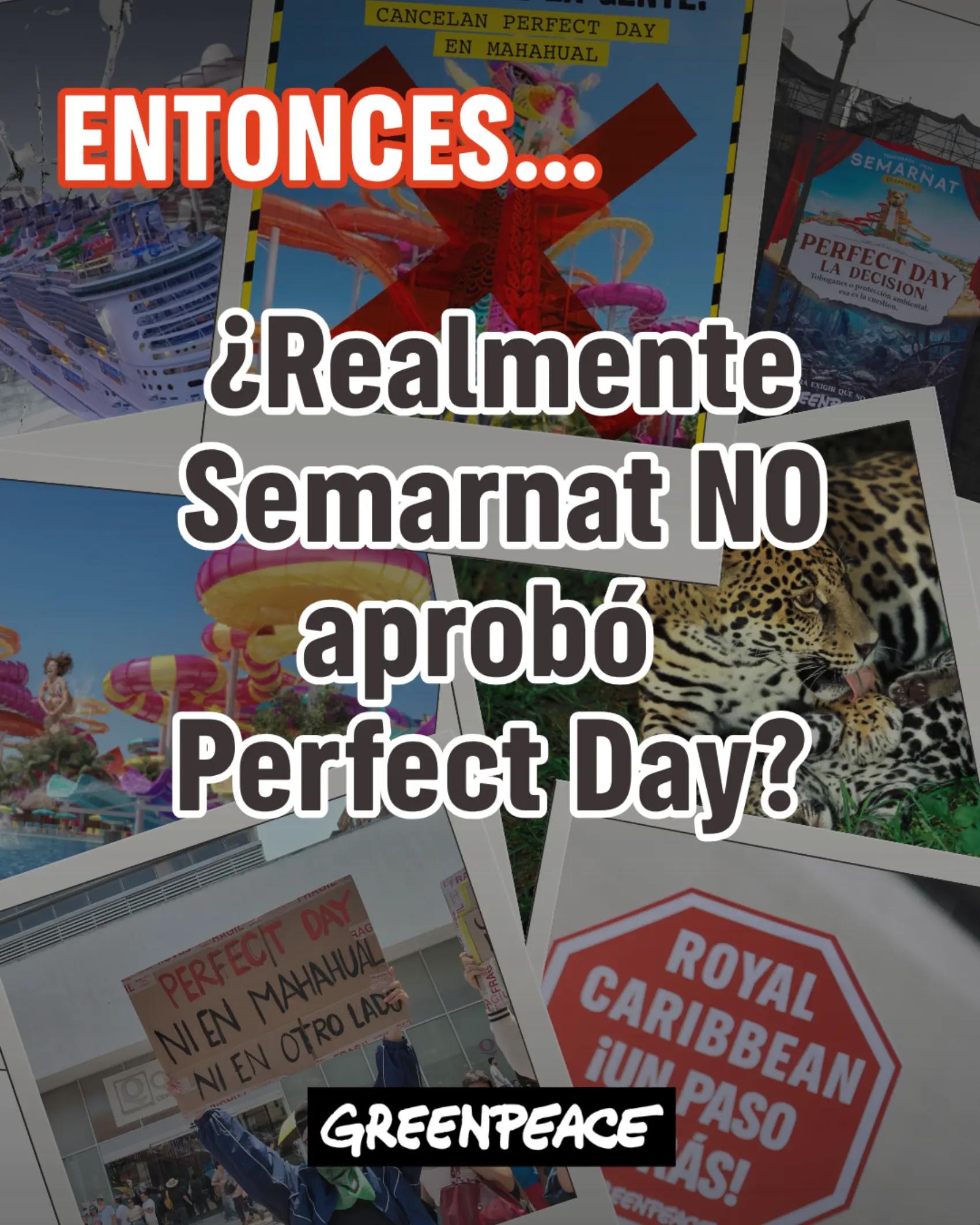 @Greenpeace M&eacute;xico