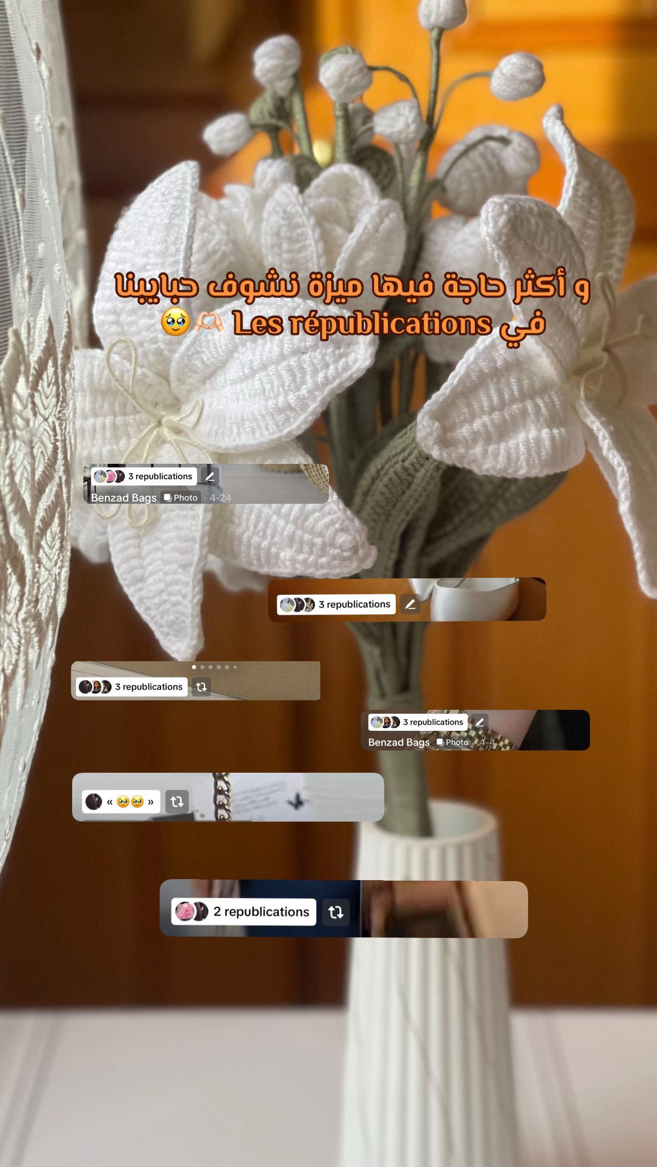 @Benzad Bags