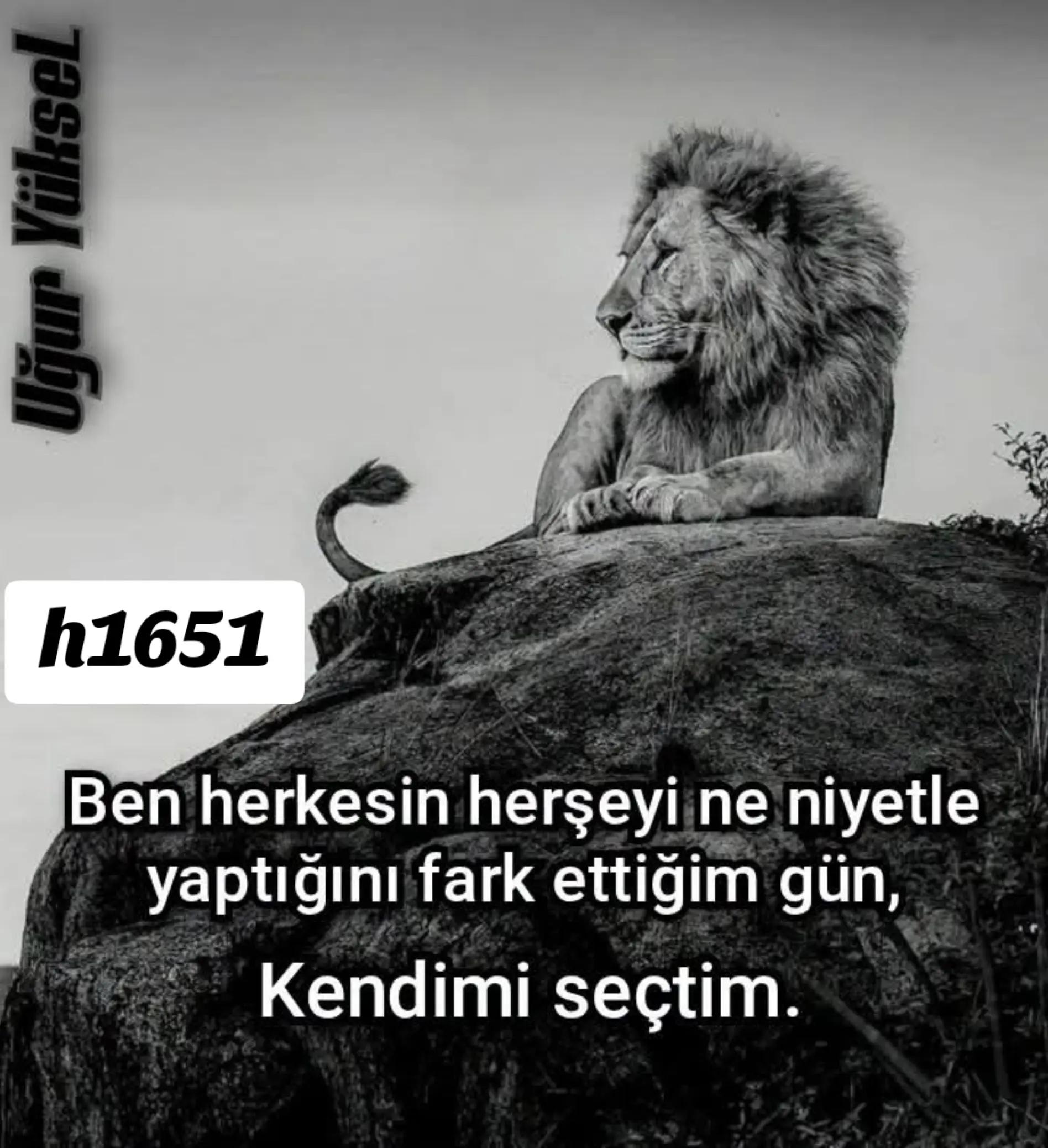 @🇹🇷51💙 HÜSEYİN💛16🇹🇷
