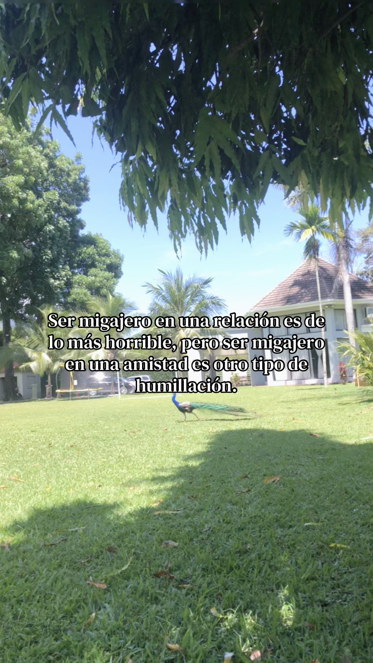 @Flavio🦦