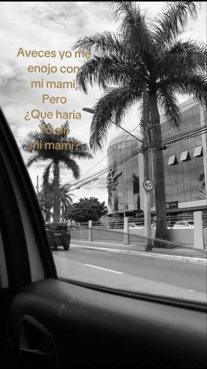 @Eli Esparza 🌷