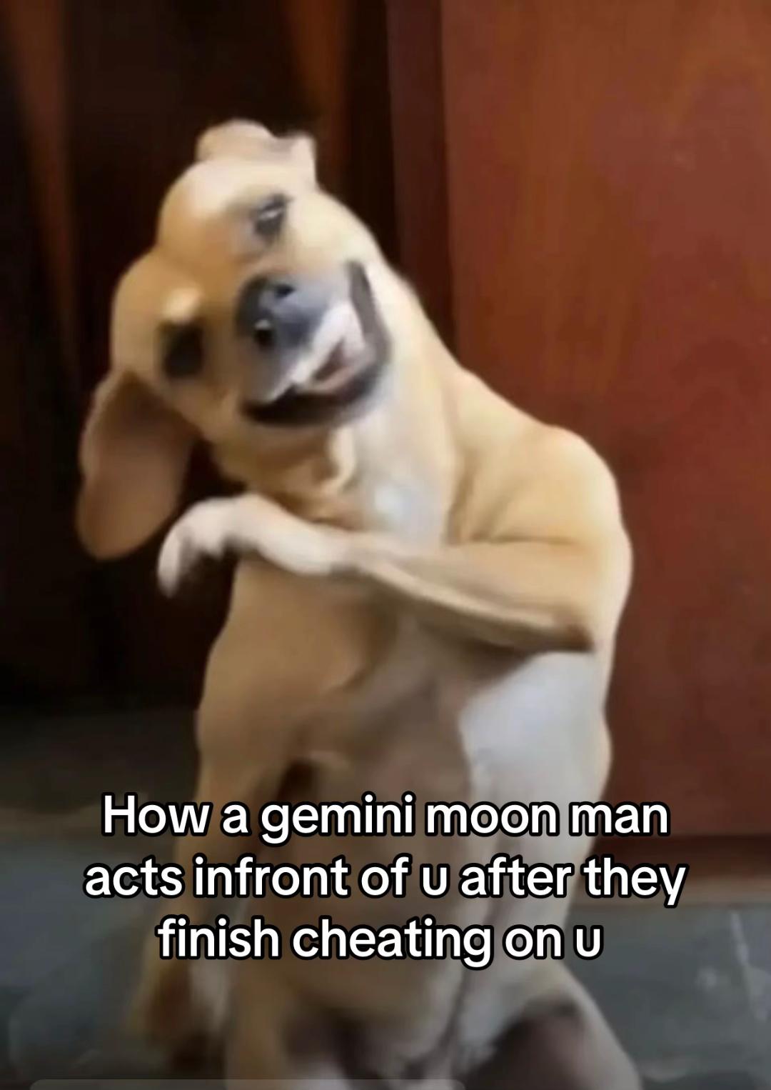 @Sagmoonluvme