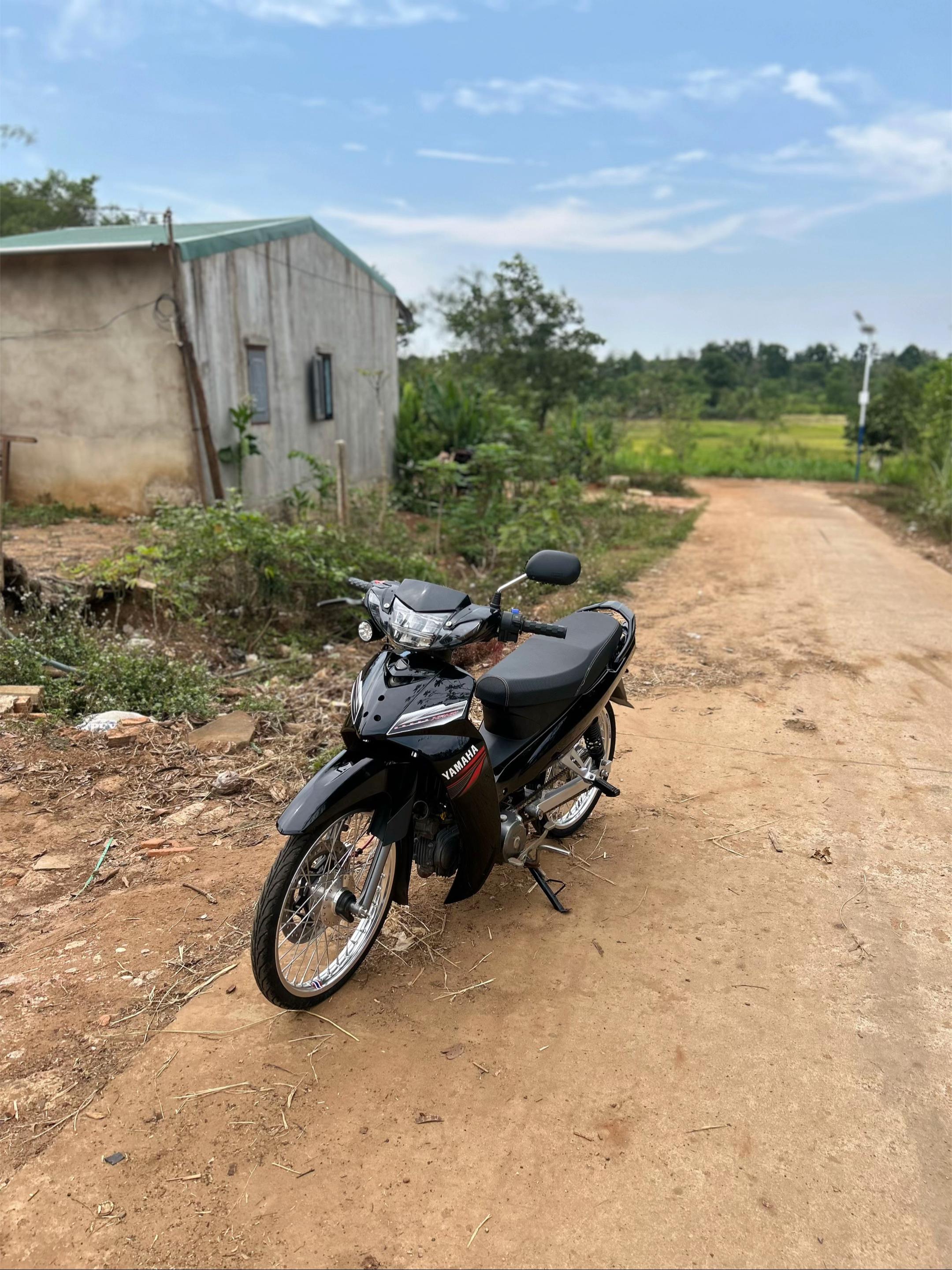 @Gin chạy si