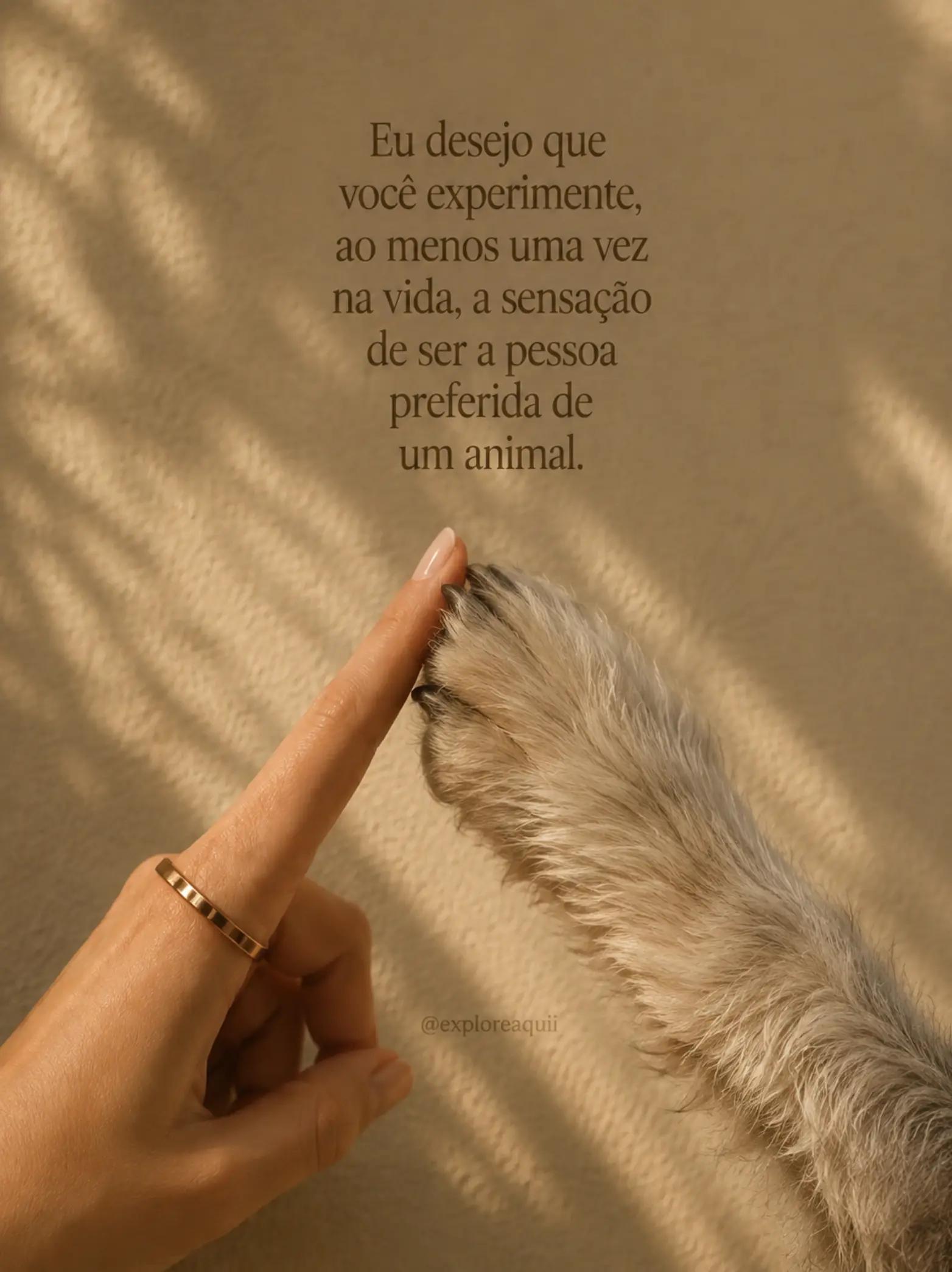 @Explore Aquii 🐾🐾✨️