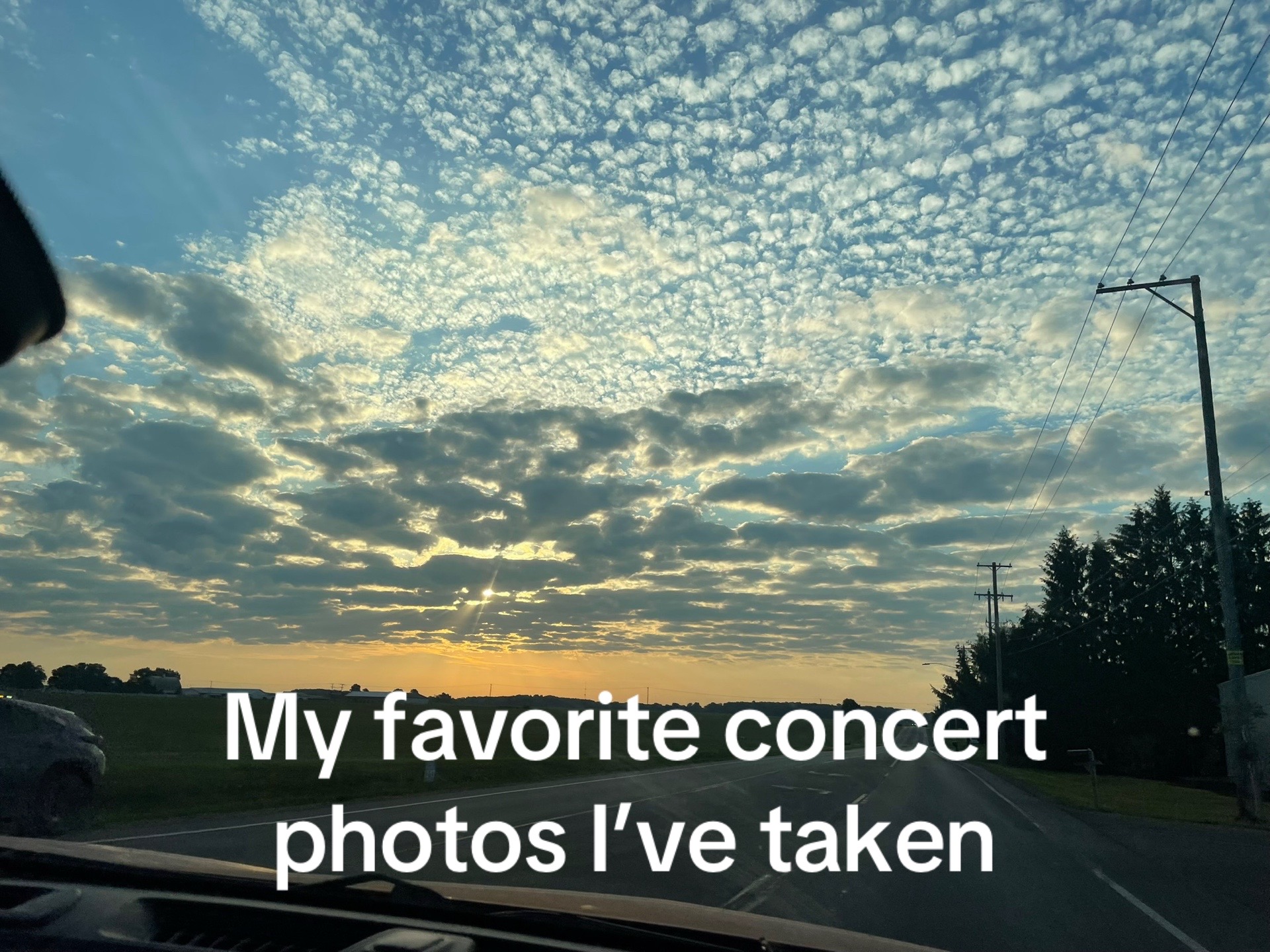 @Piper |-/