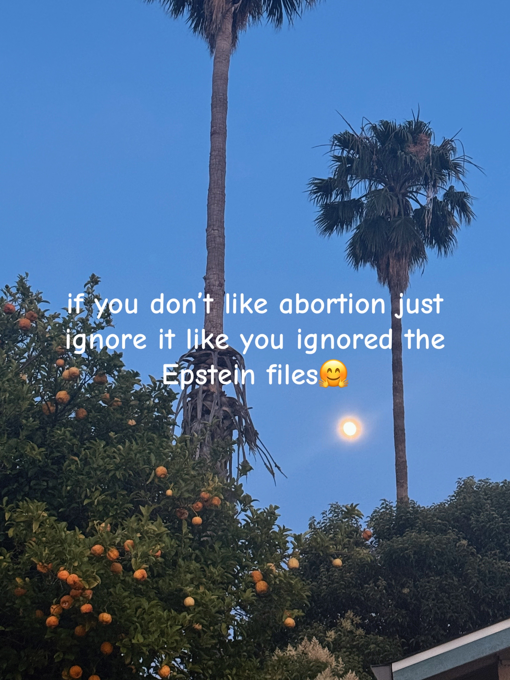 @Sophie Maldonado