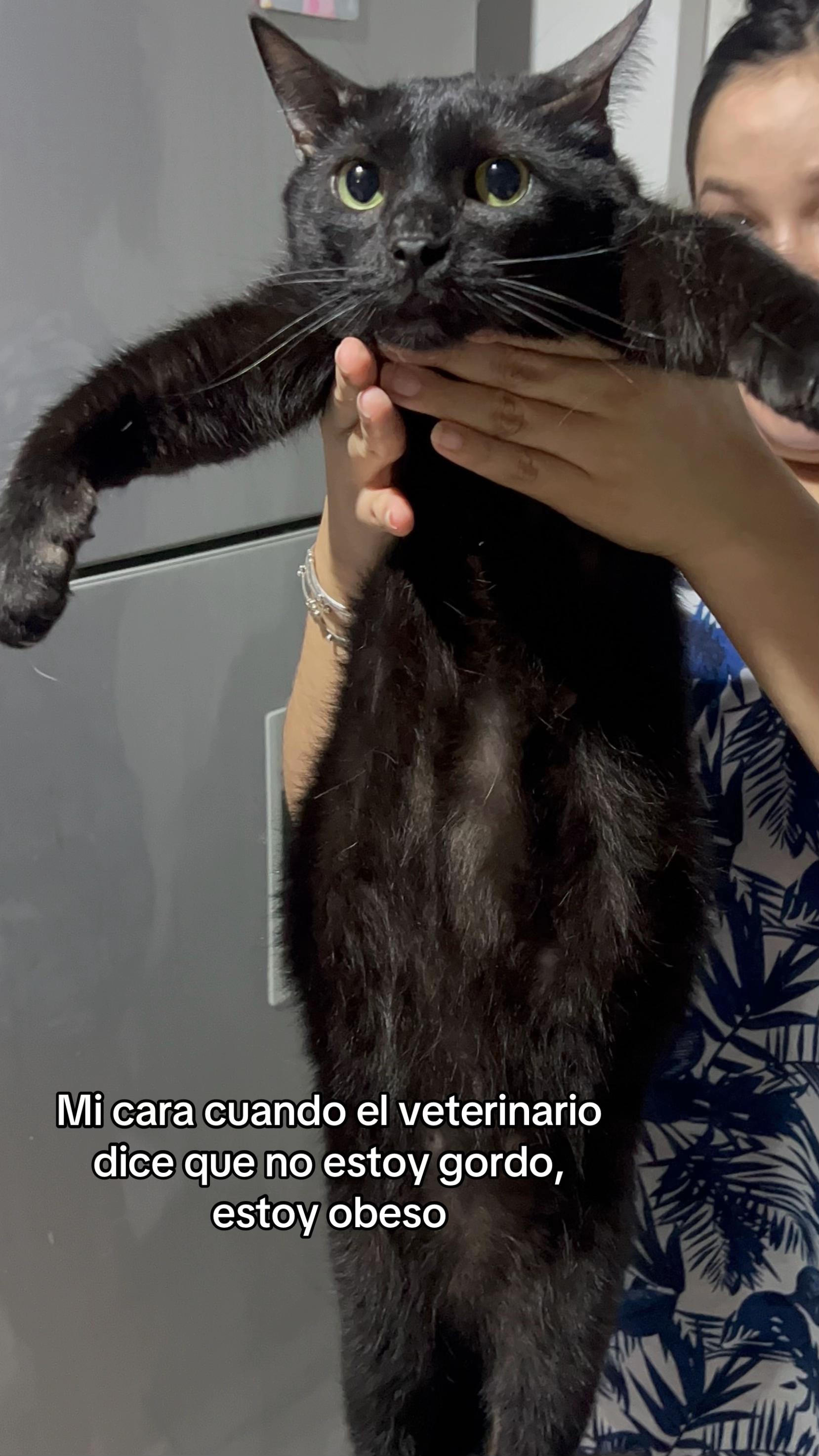 @María Betania