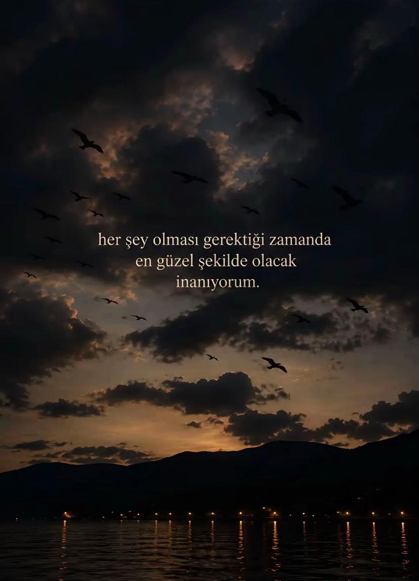 @()()()()