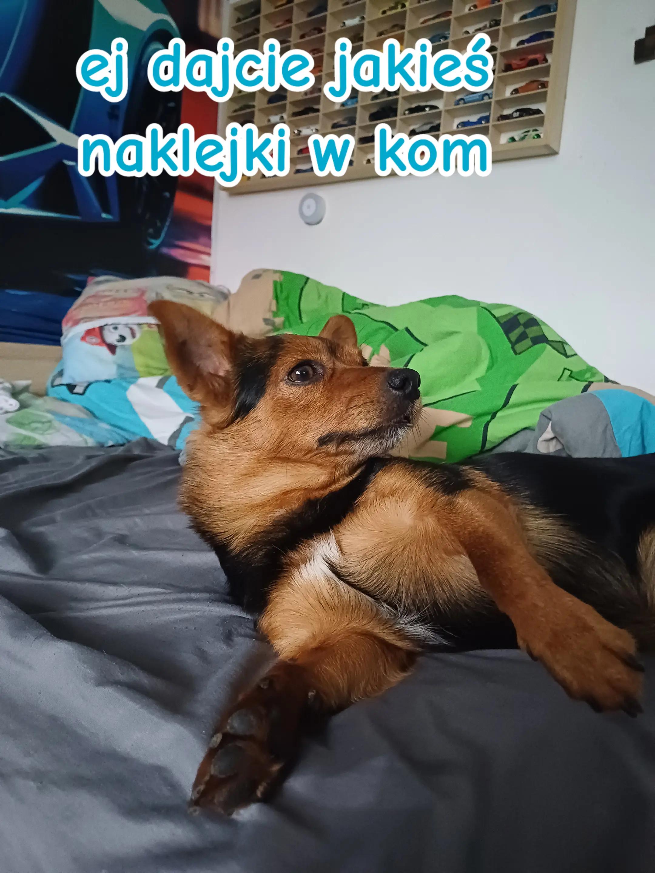@Papek