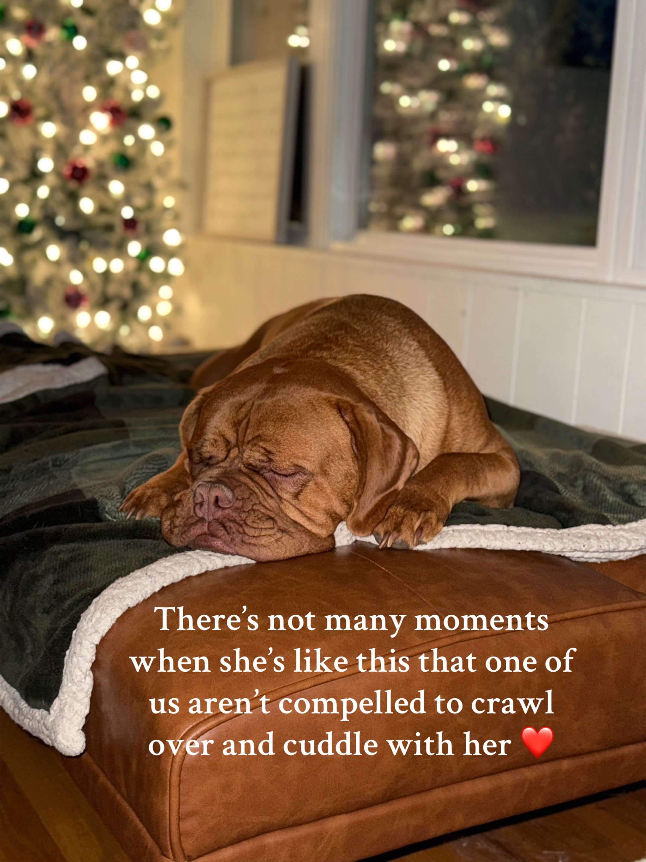 @MovingMamaMayfield