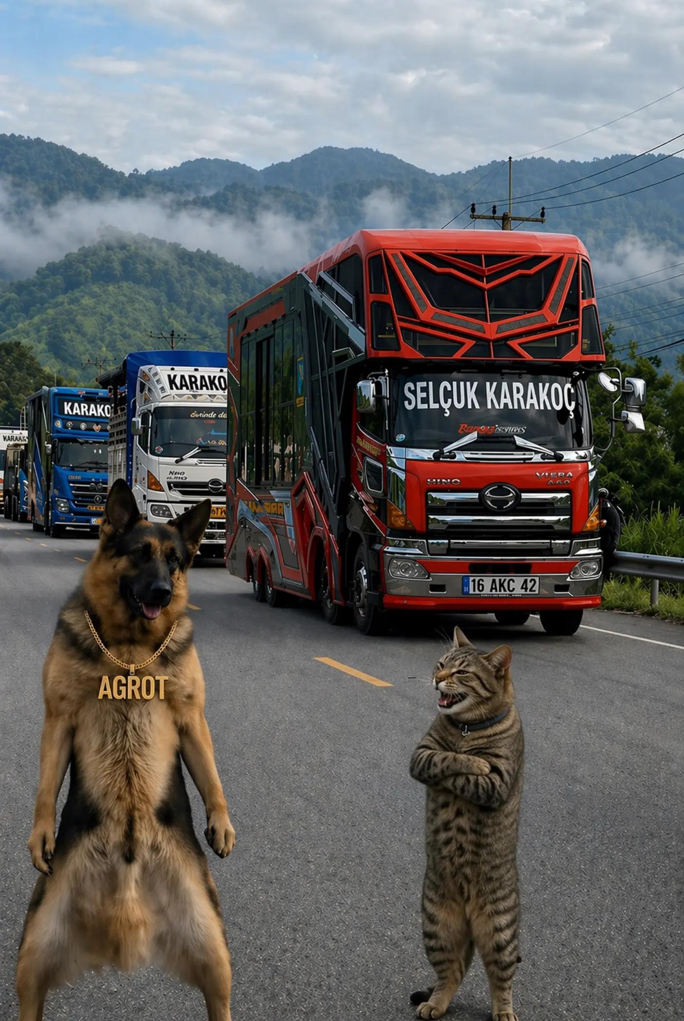 @🇹🇷👑👑AKC👑👑 FAN👑👑🇹🇷