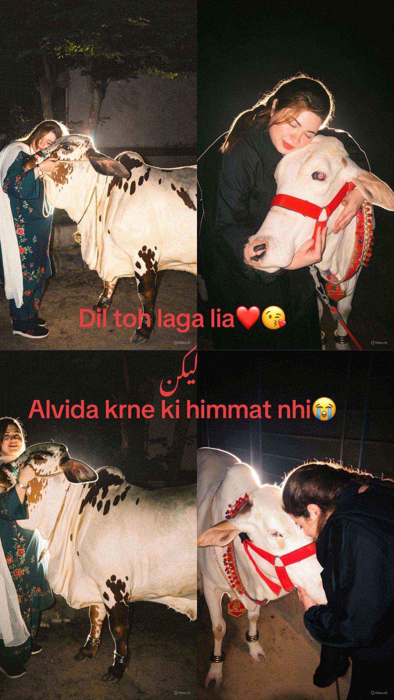 @nazmir