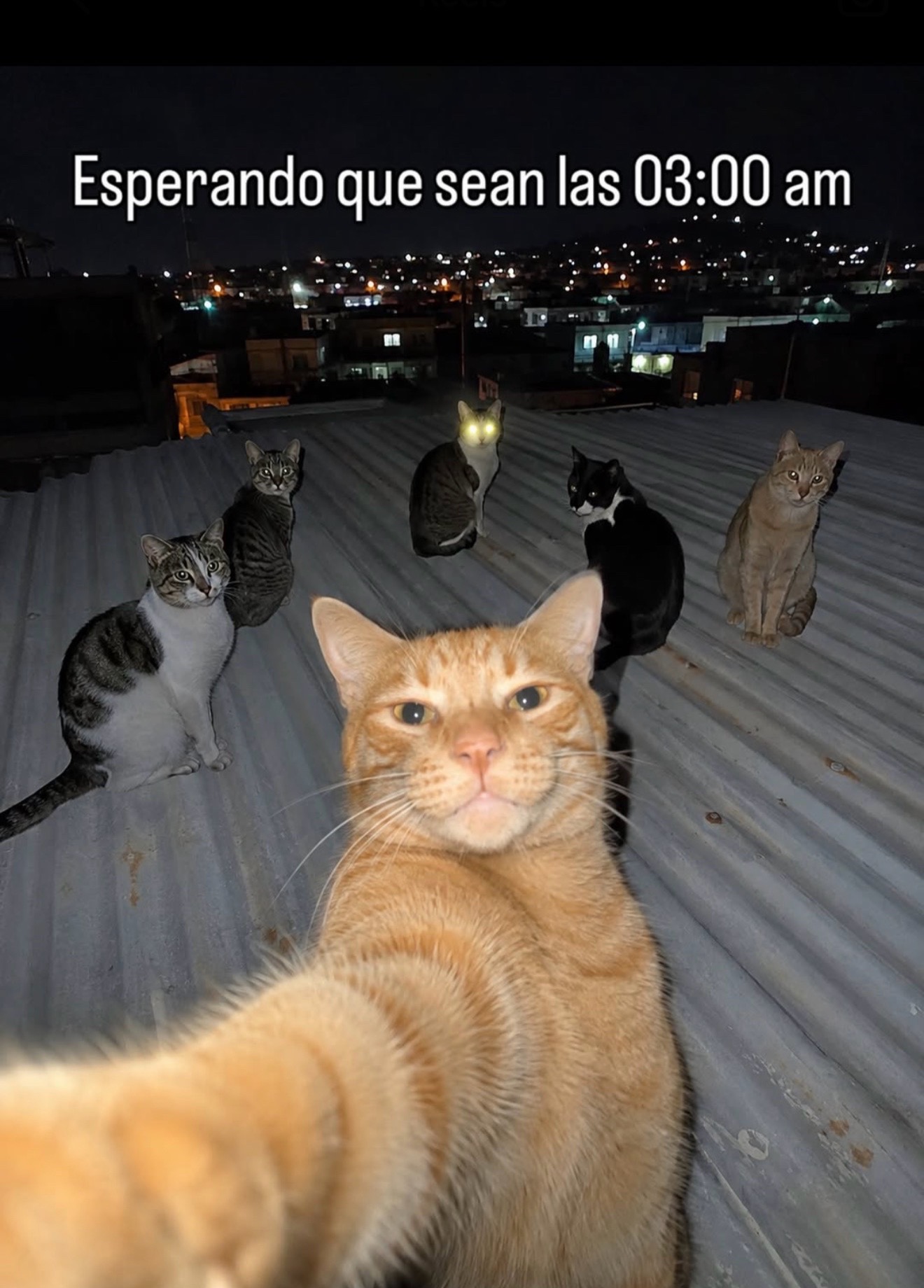@alexander___espinal