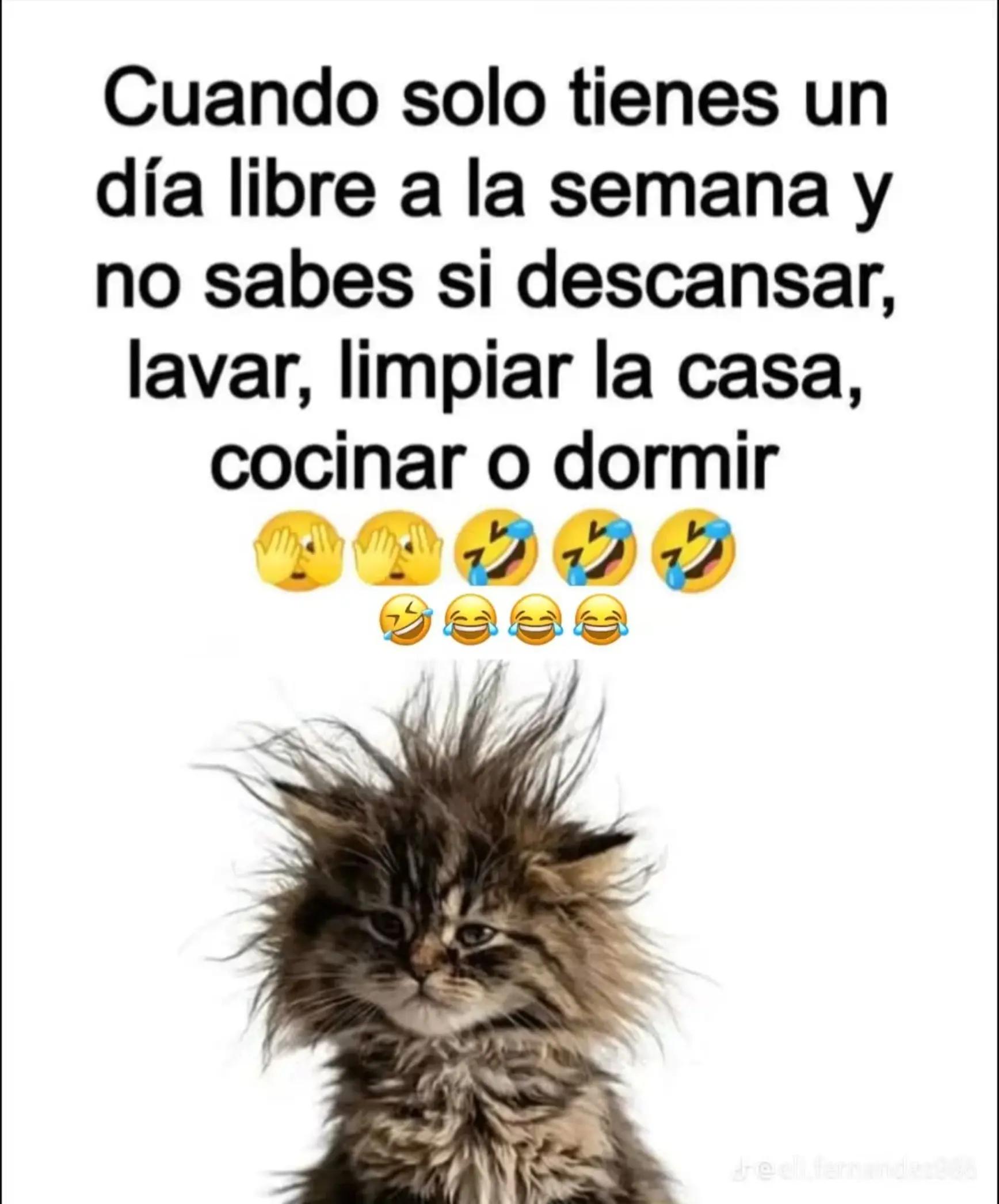 @obispo lorenzo