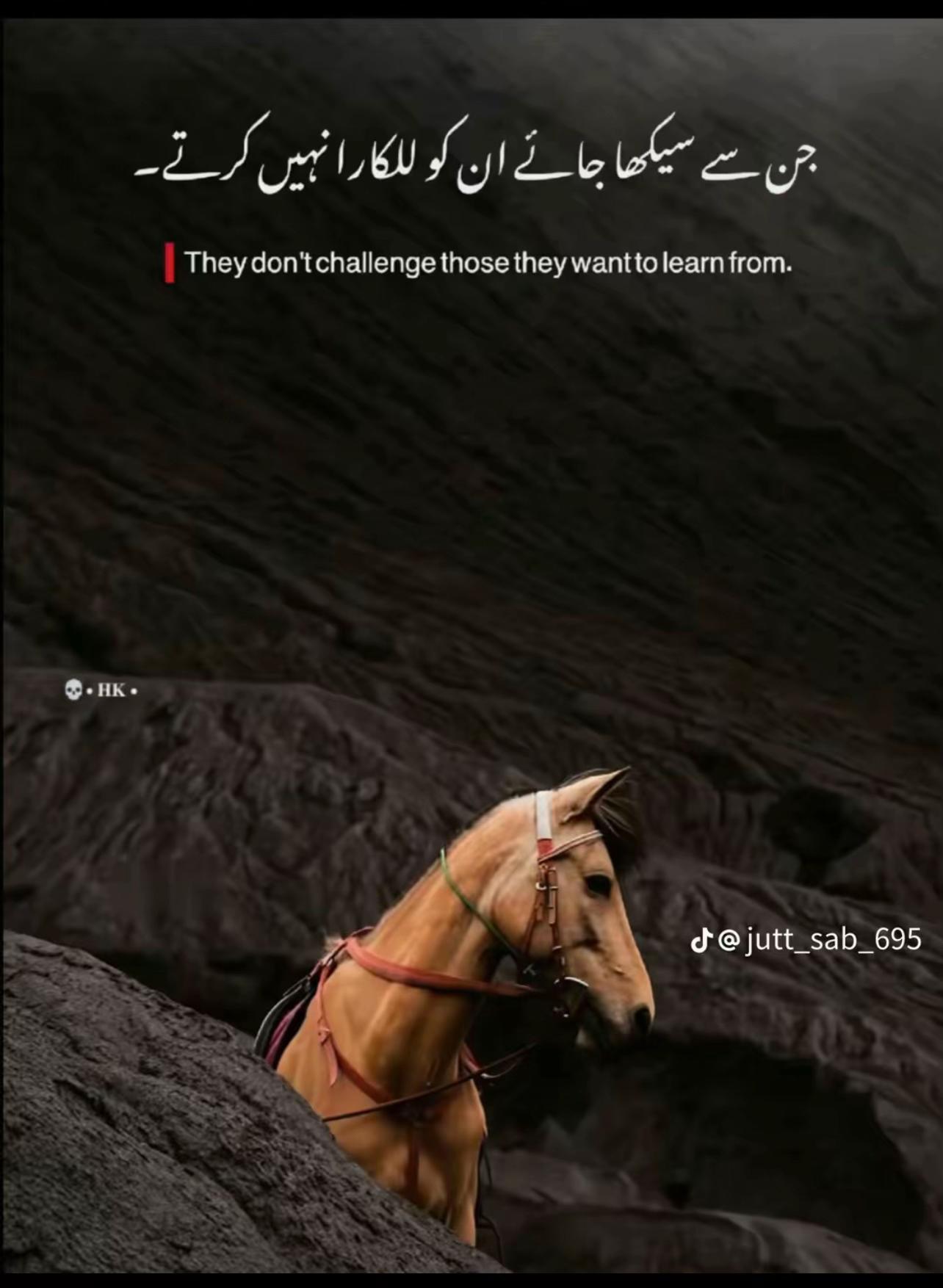 @طیب راٹھور🤴