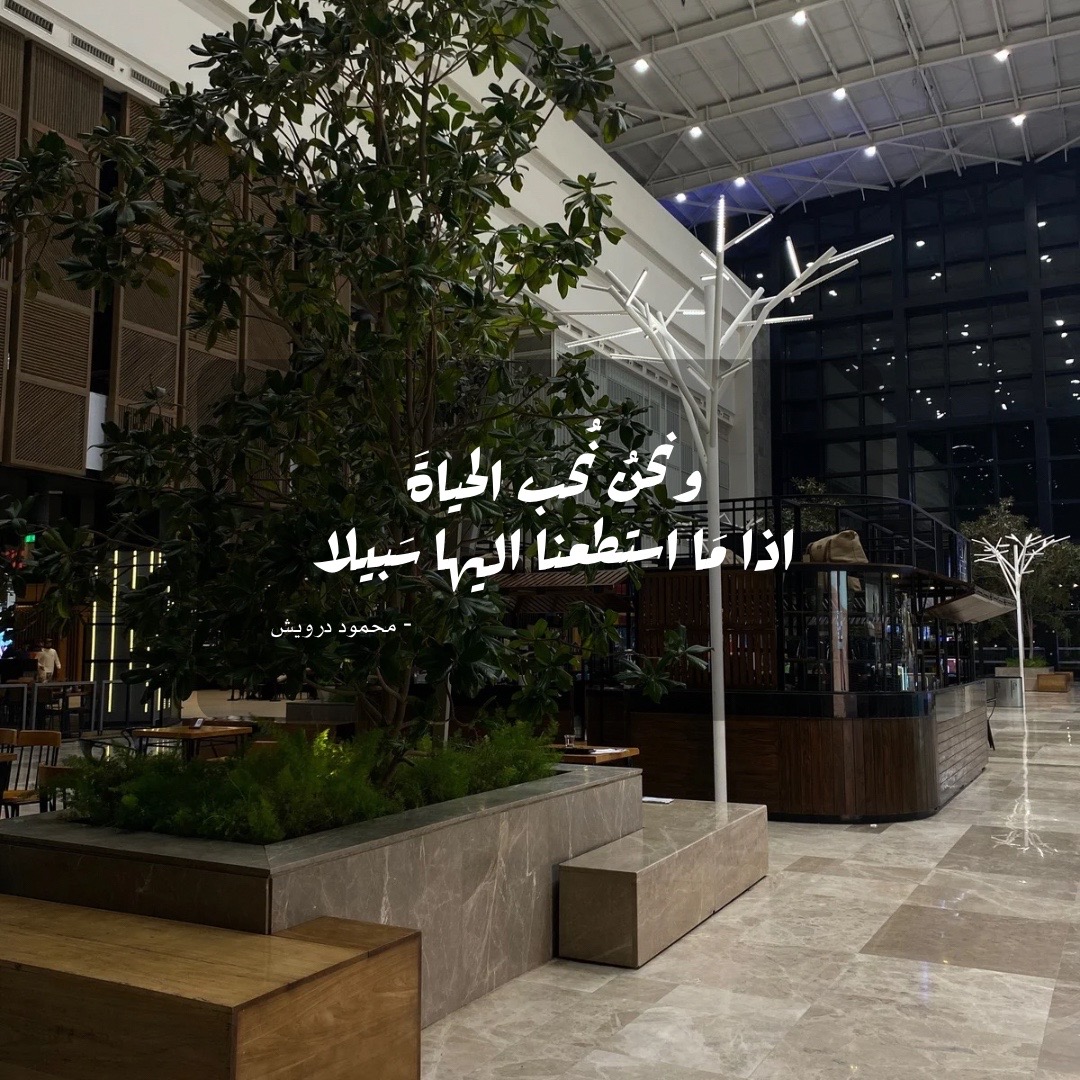 @user24708689985