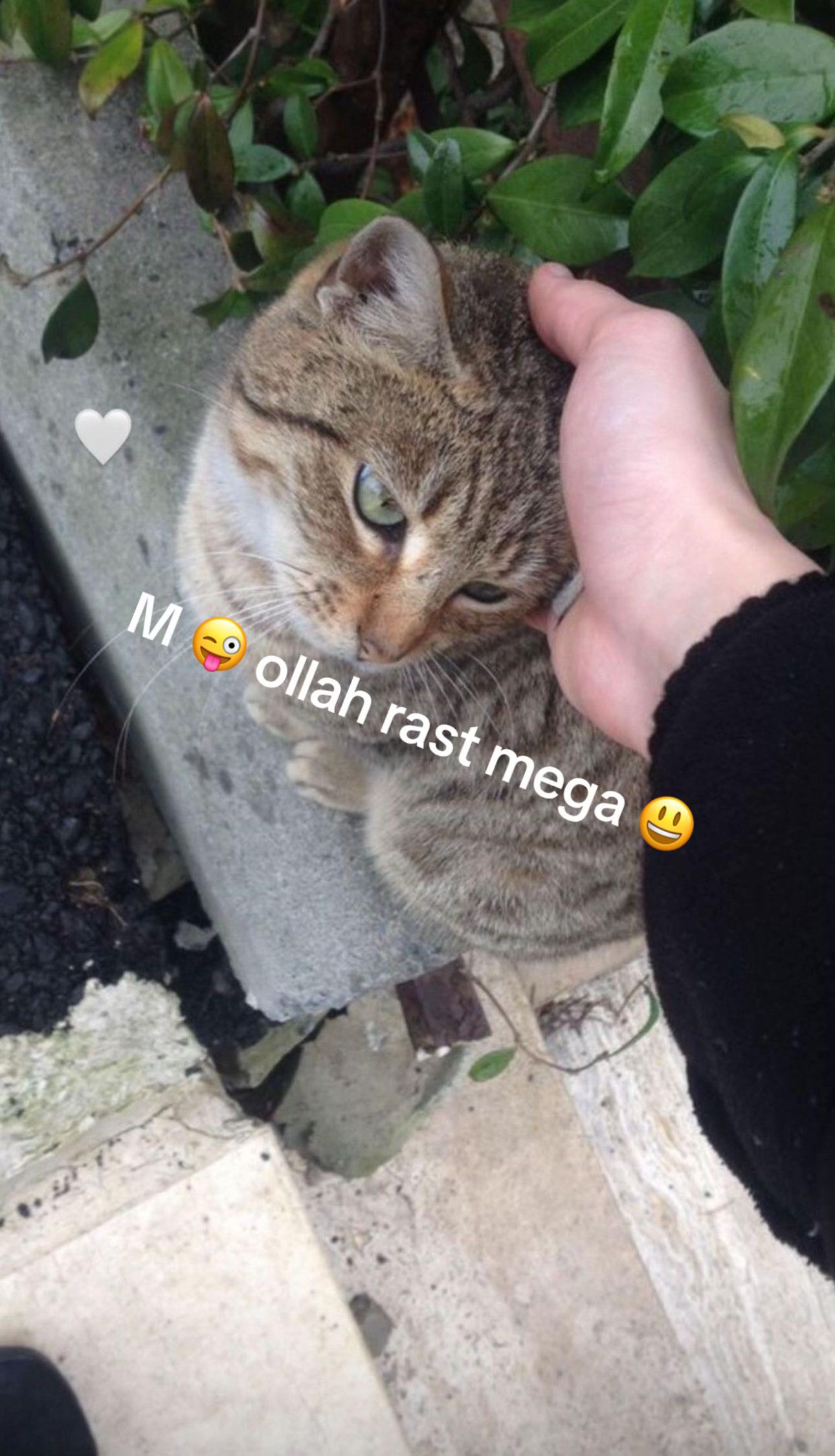 @M❤️N