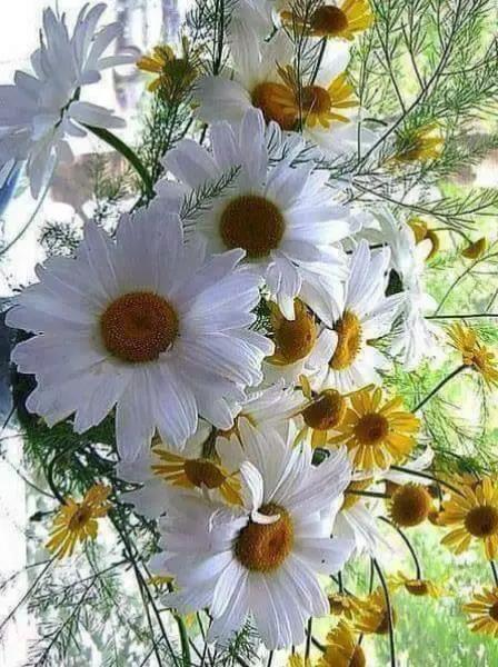 @ayhankavlak
