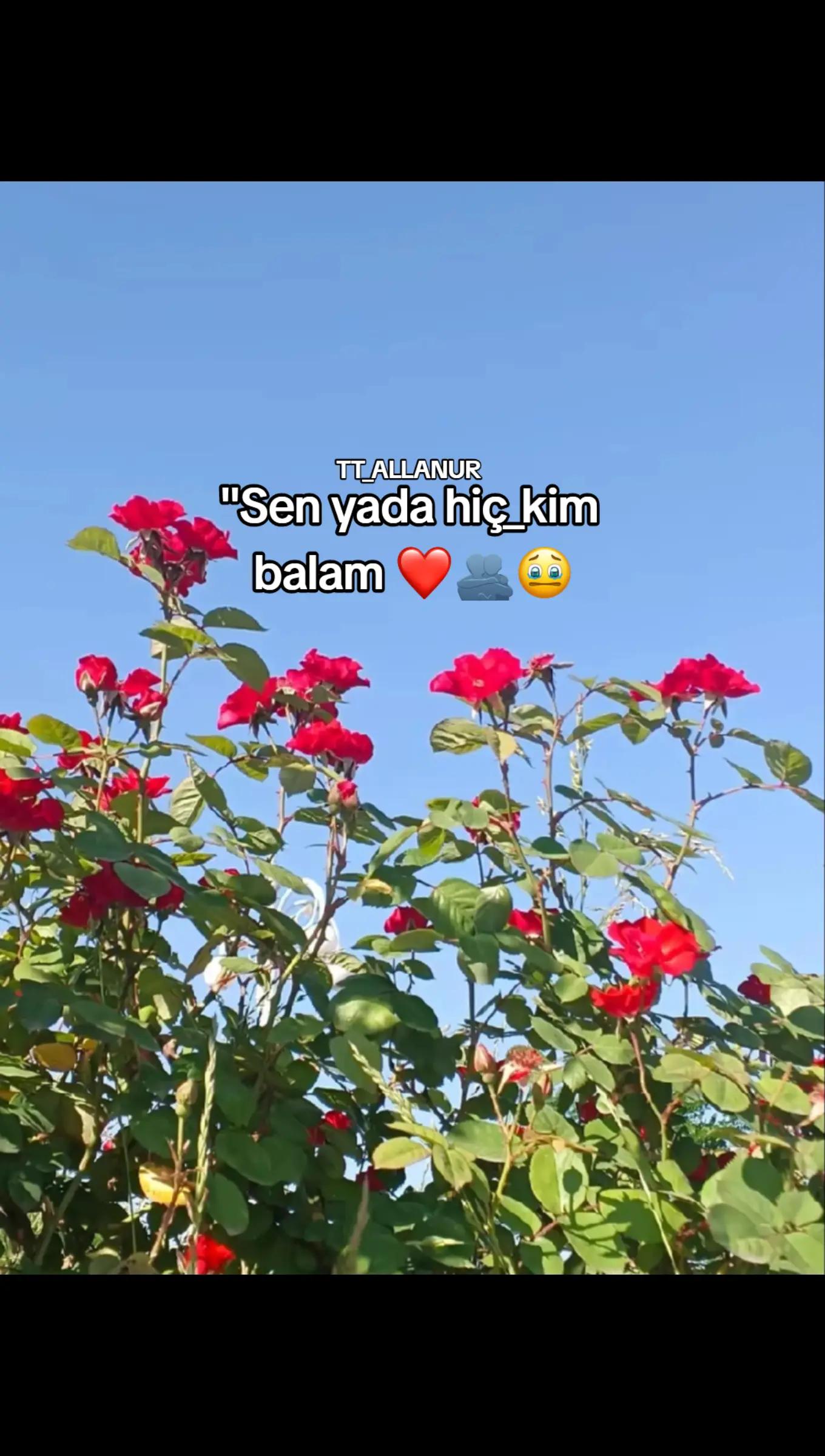 @𝐀𝐥𝐥𝐚𝐧𝐮𝐫_➰