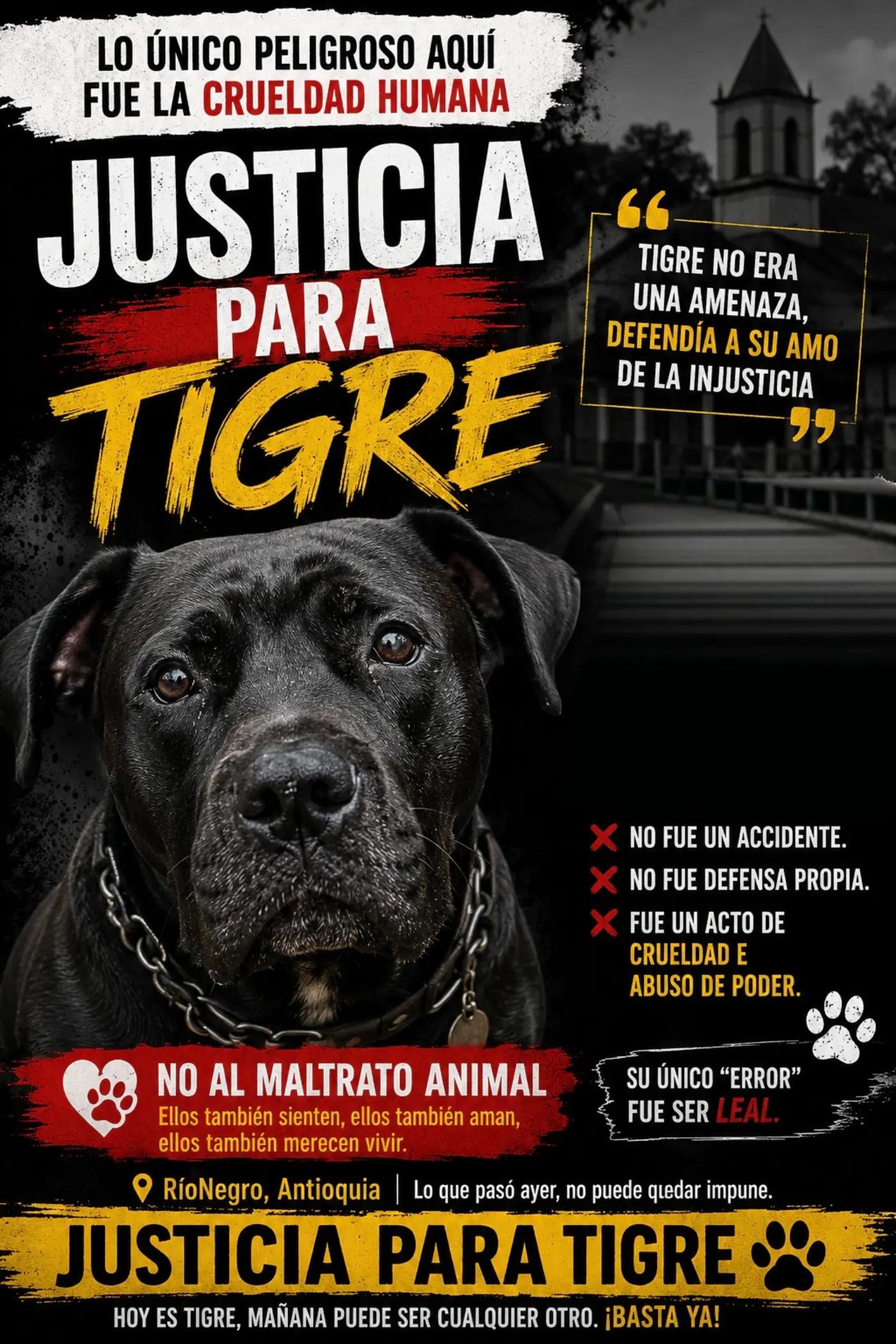 @MUNDO ANIMAL CURIOSO