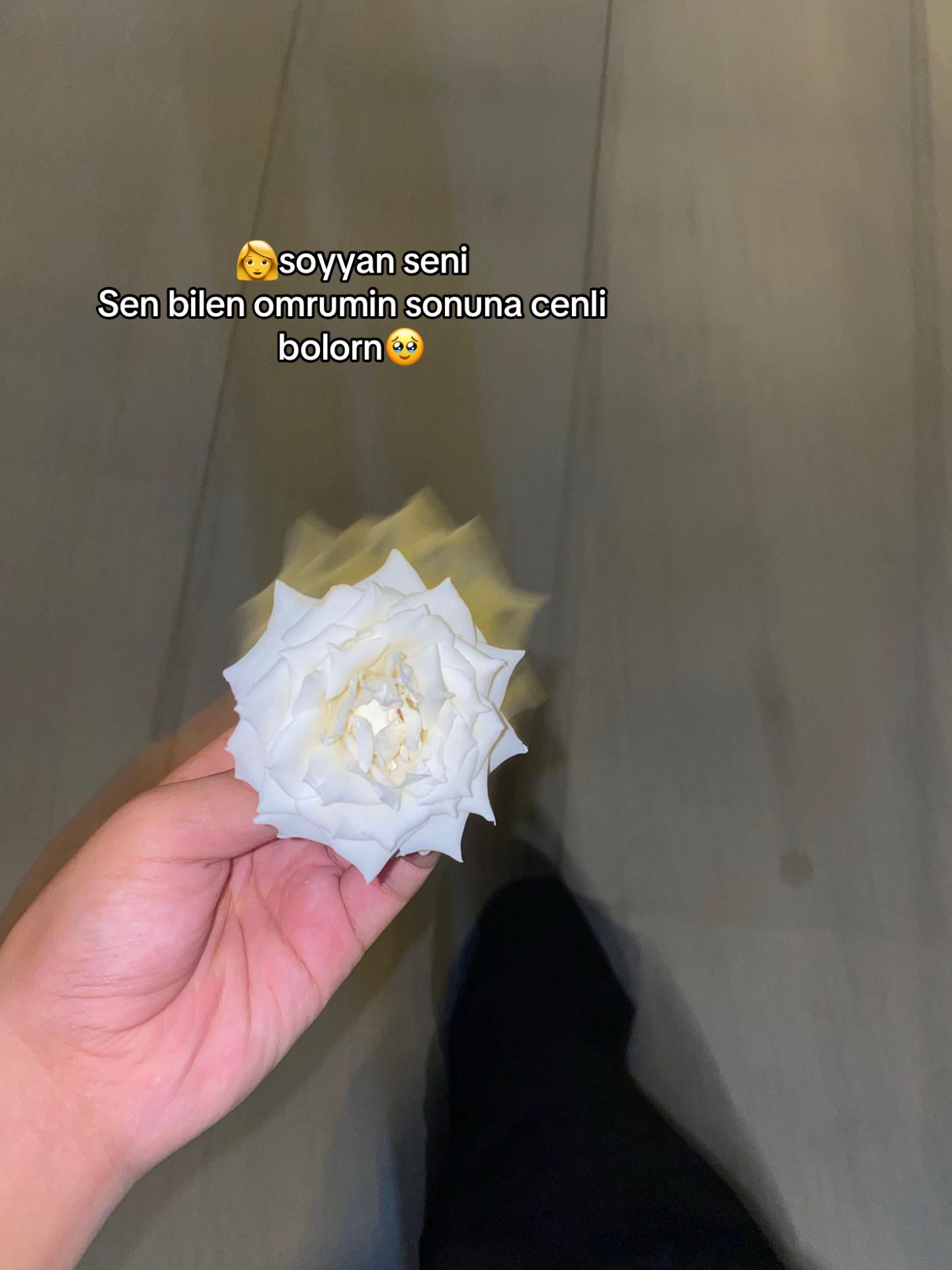 @Jakss_⚜️