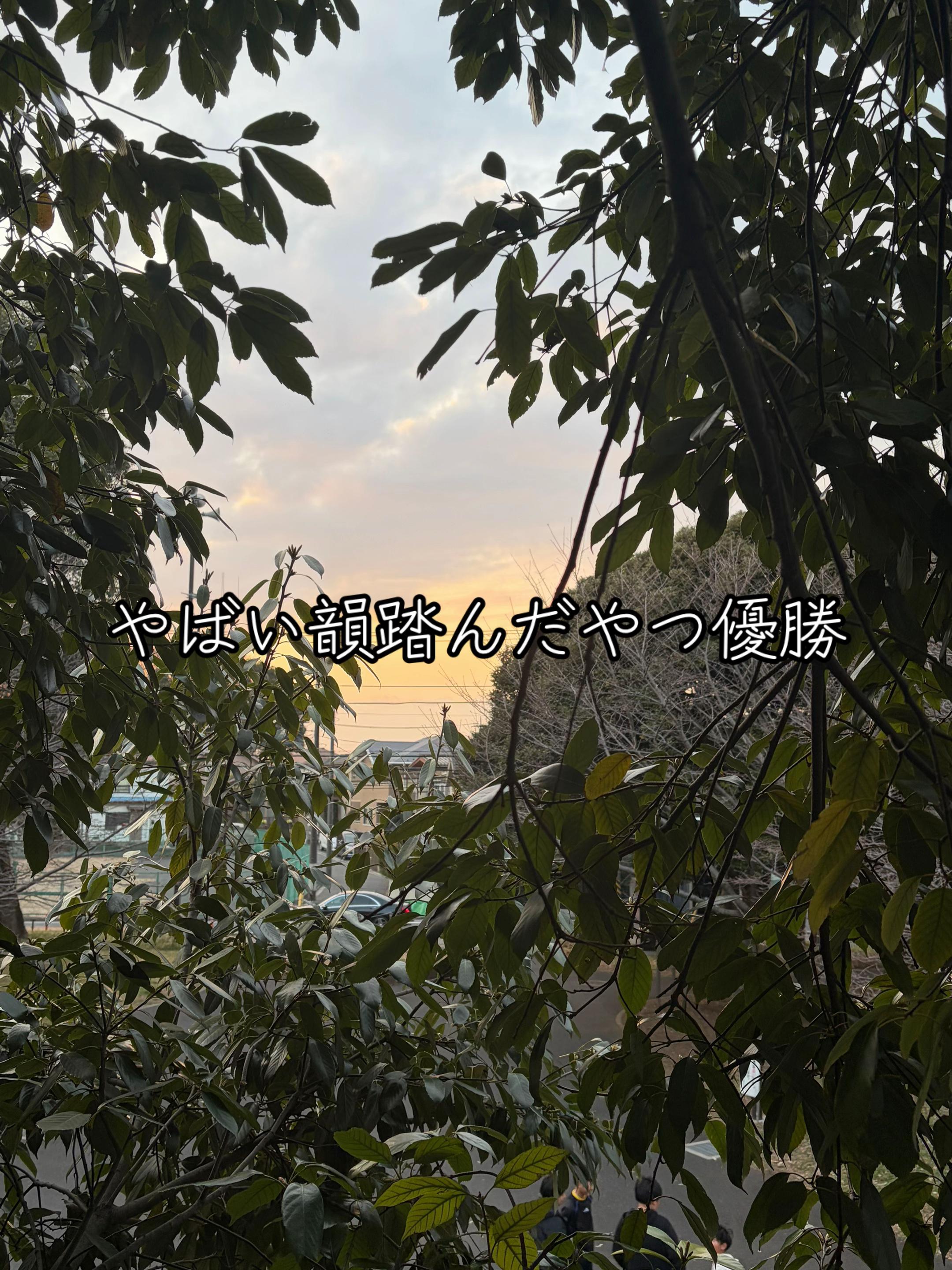 @ただのアホ