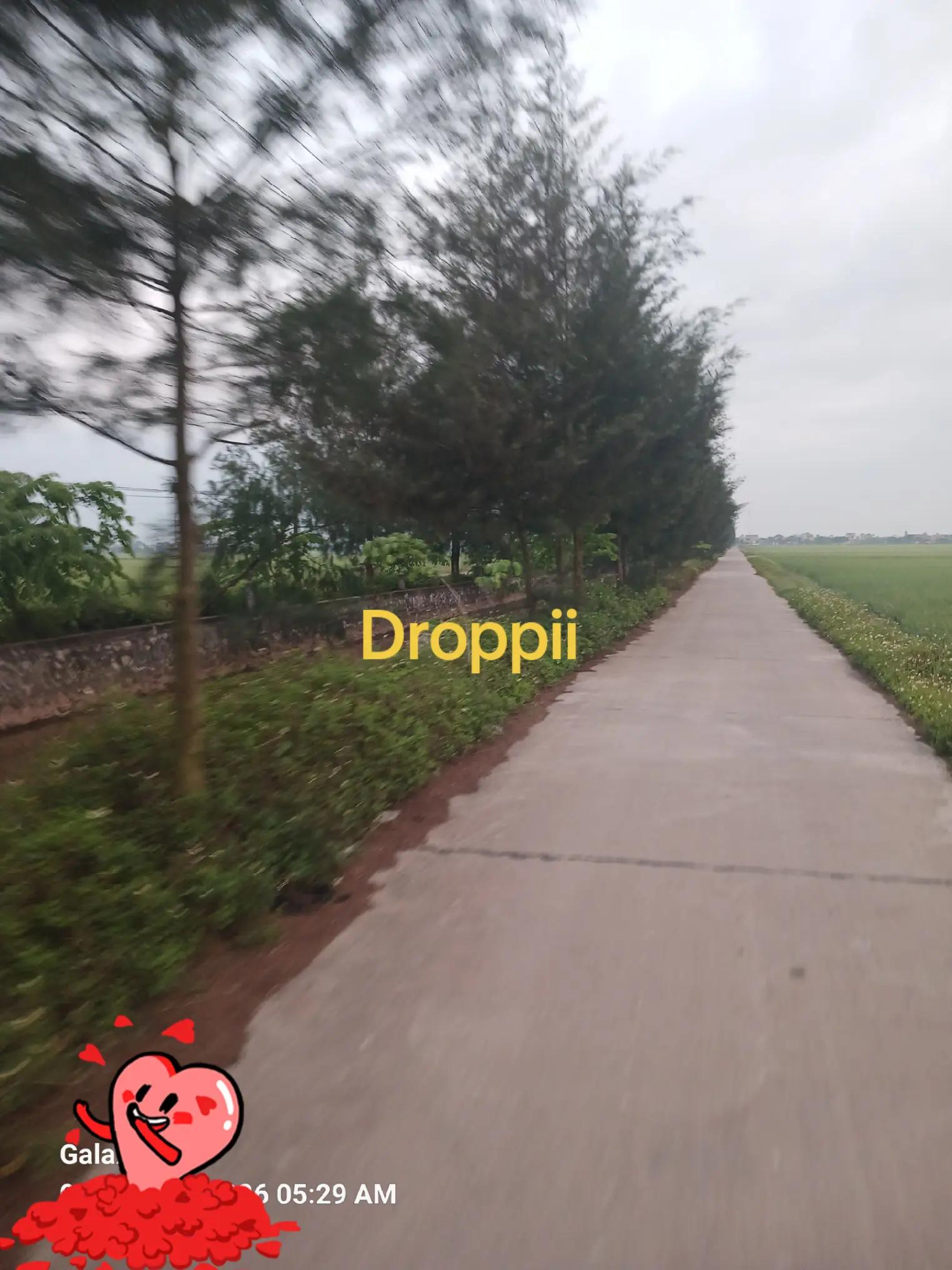 @Caovu_S&acirc;m Bắc Mỹ CND