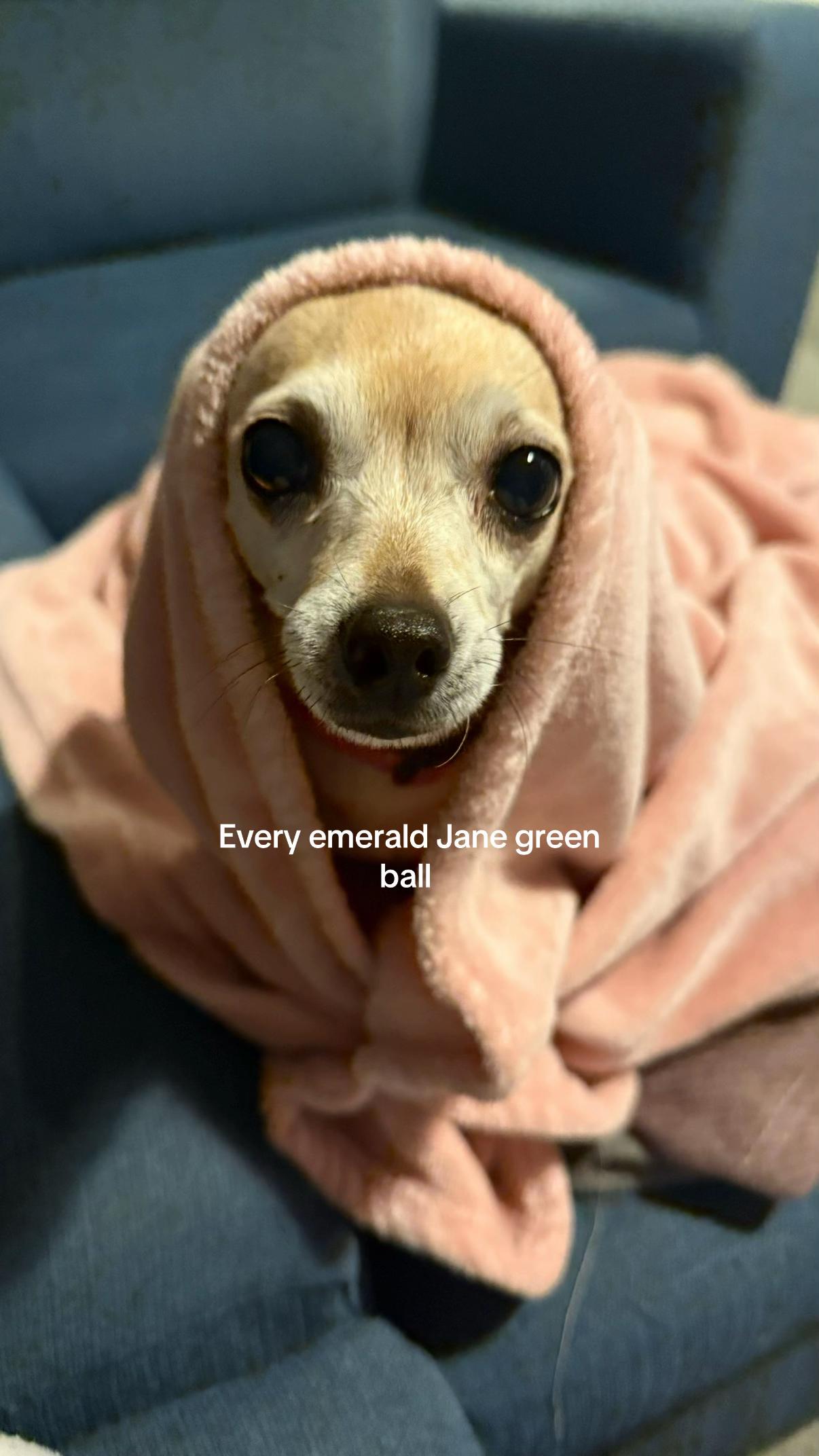 @🪽💖