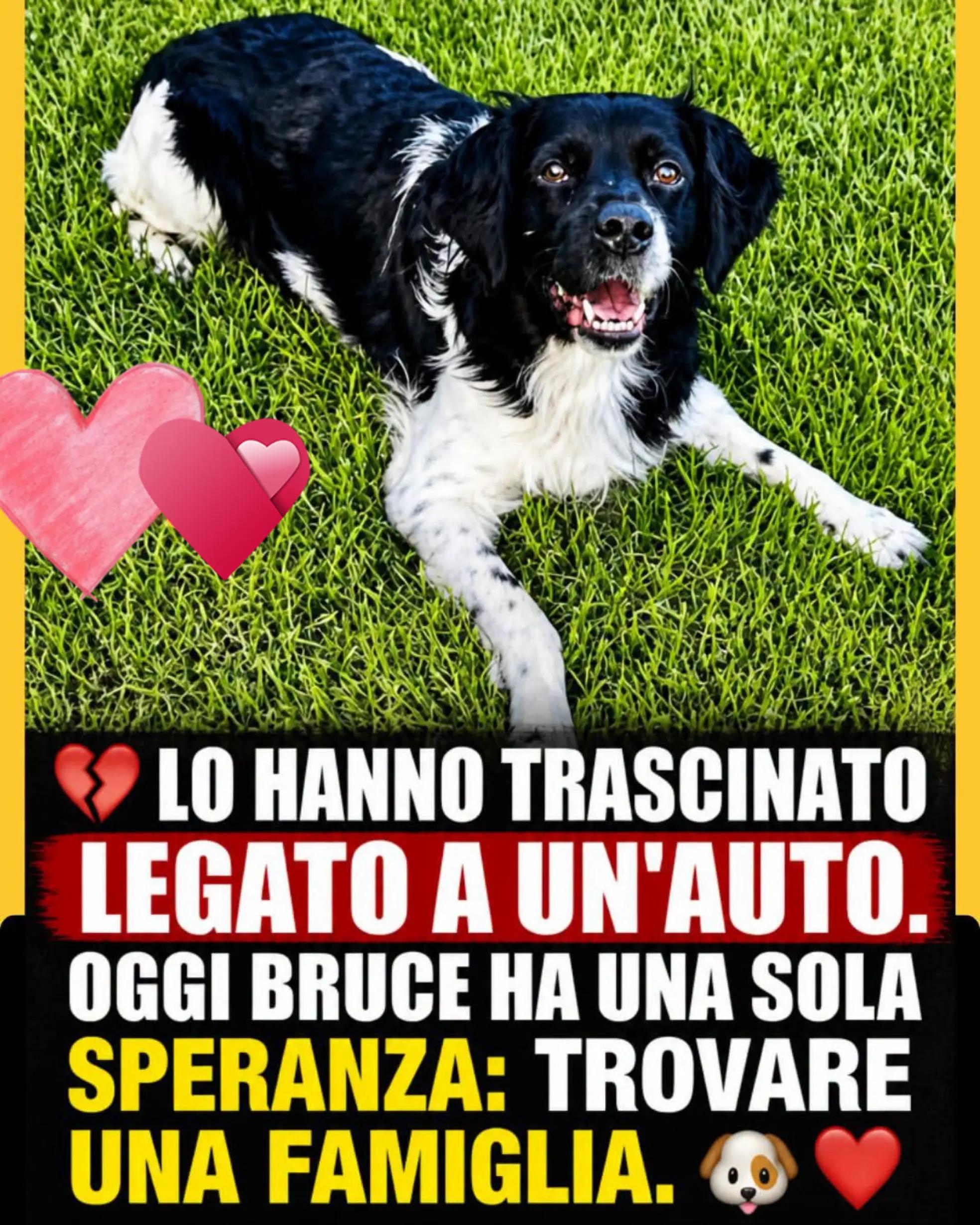 @Napoli nel cuore🩵