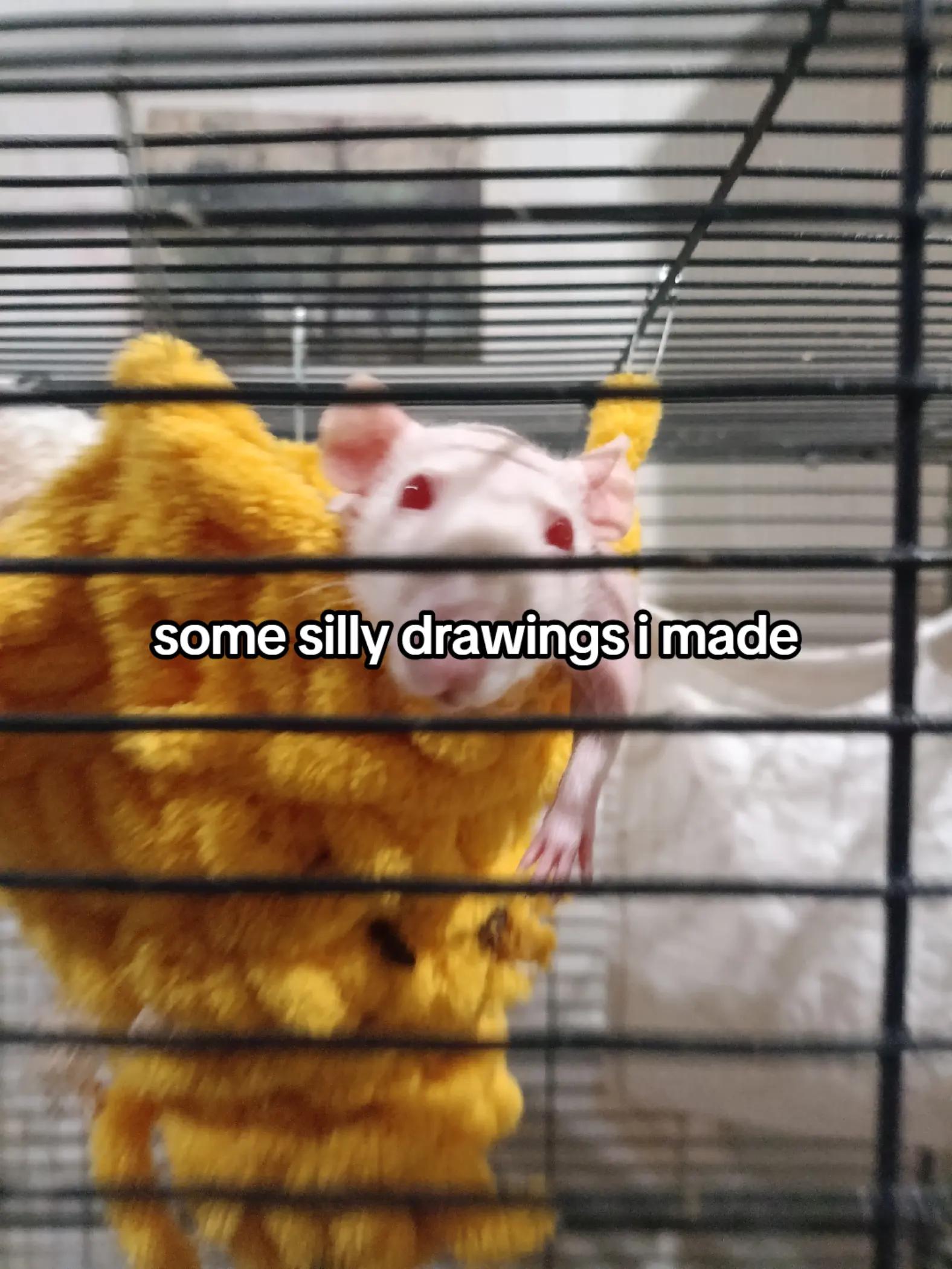 @shinka