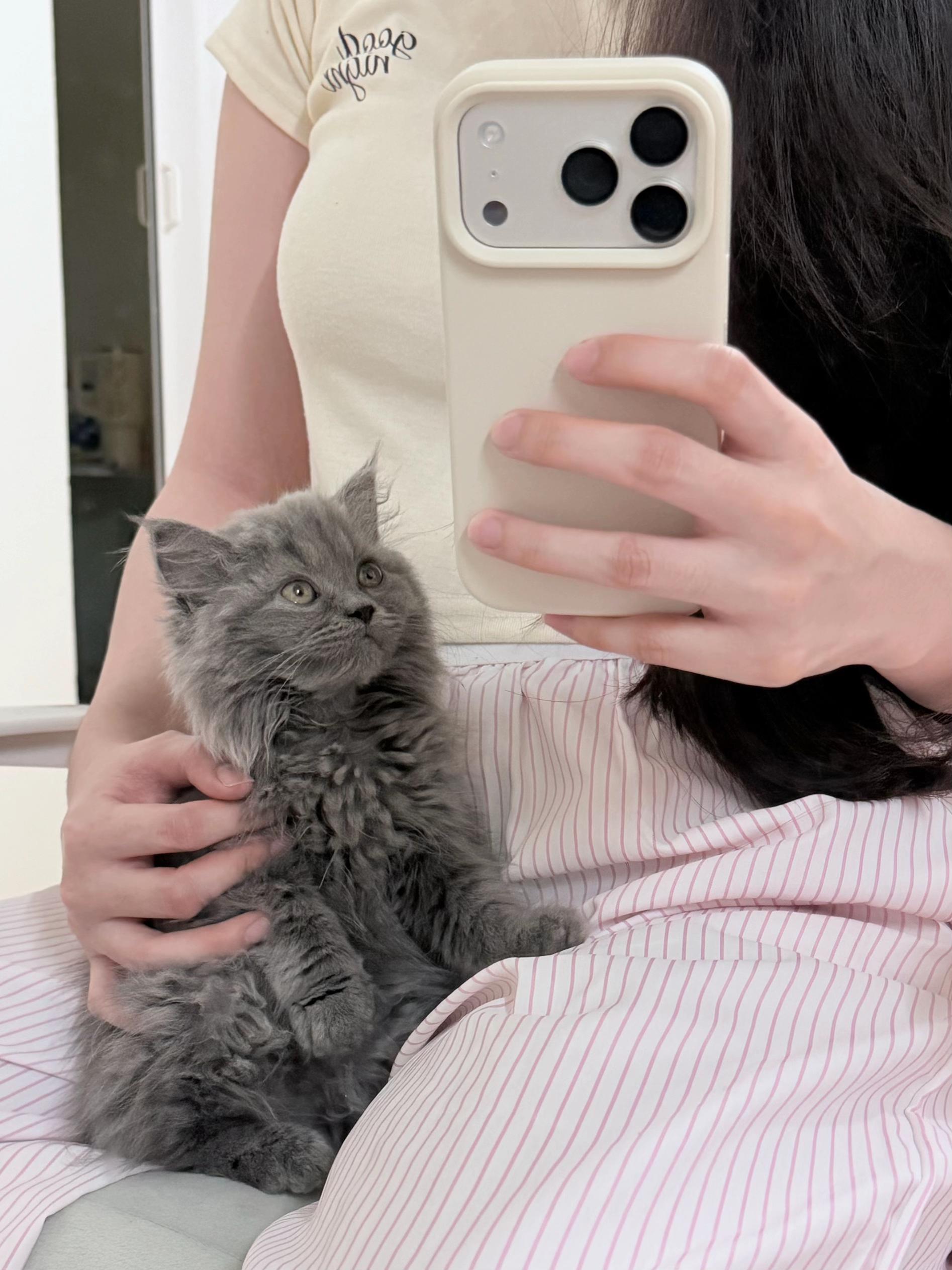 @Yokyokk