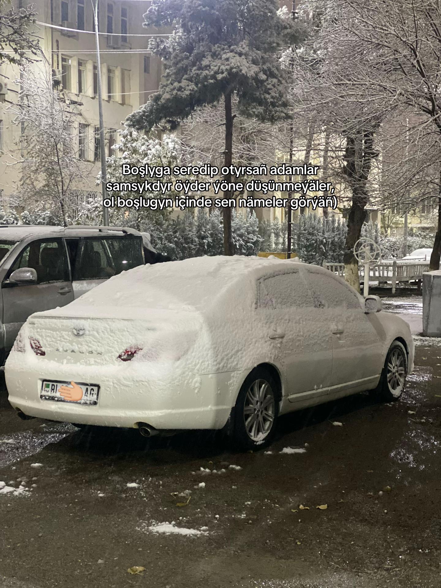 @๐ป๐๐๐๐_๐๐๐
