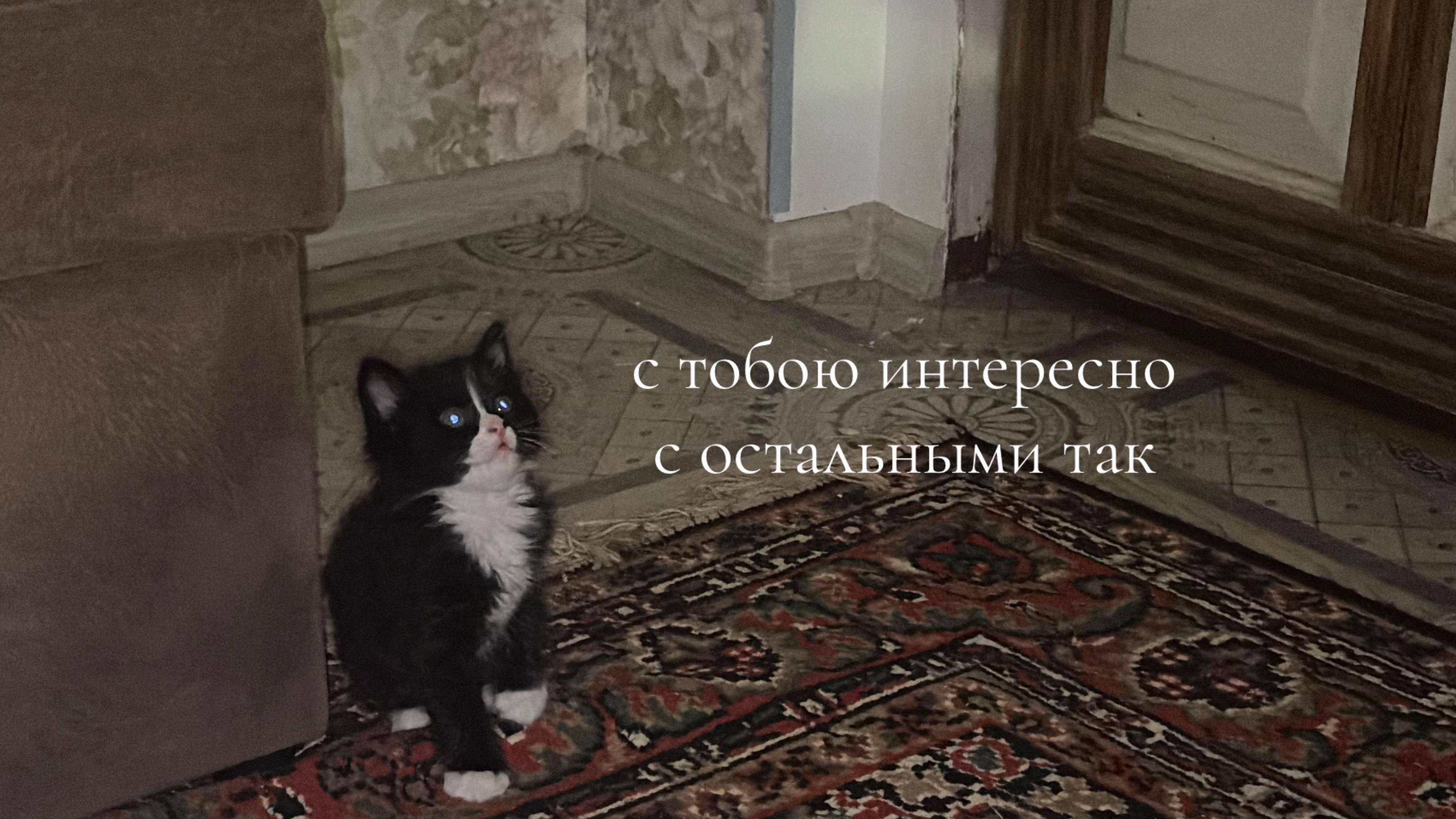 @сталь