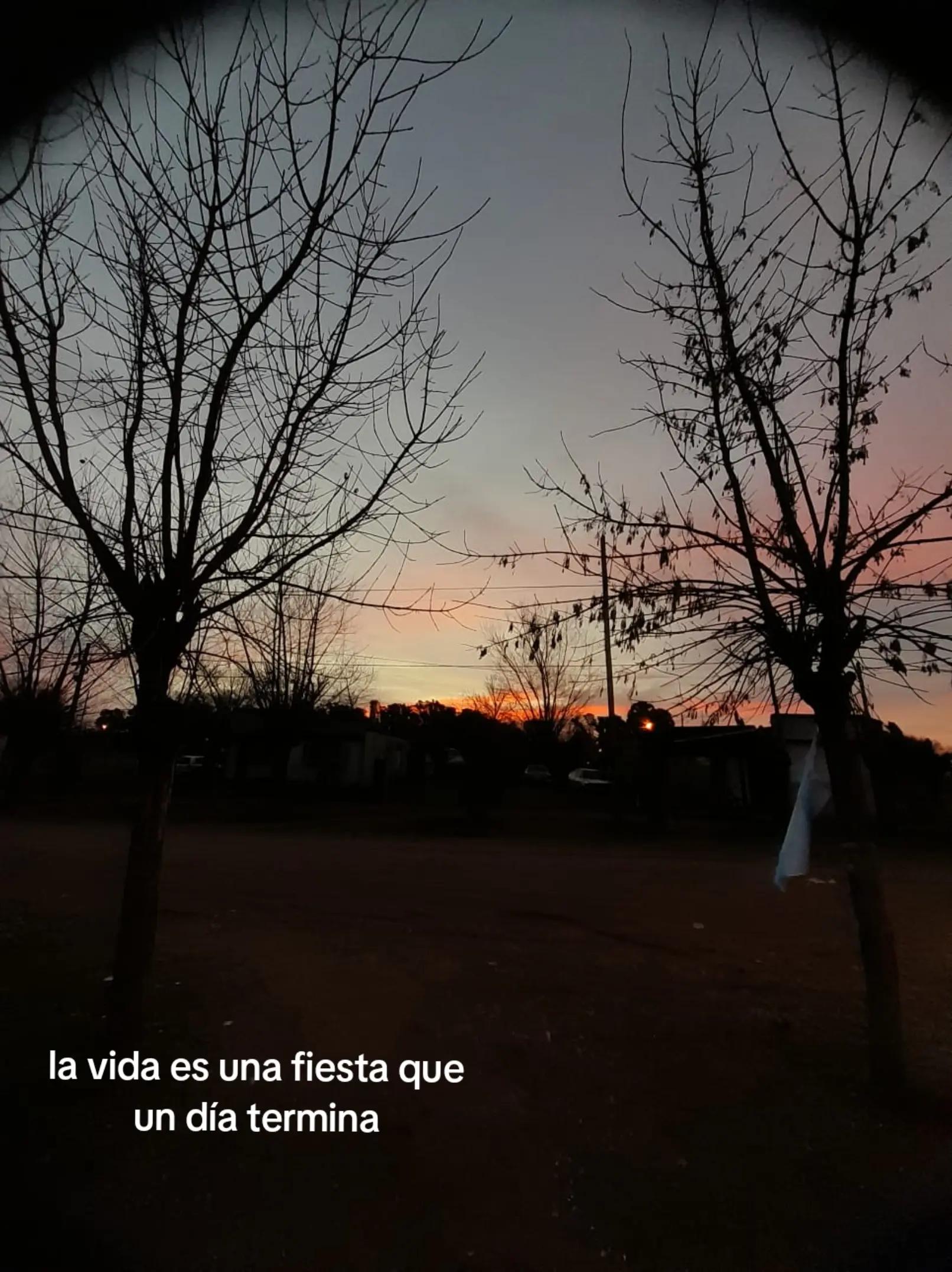 @jaz_rearte01