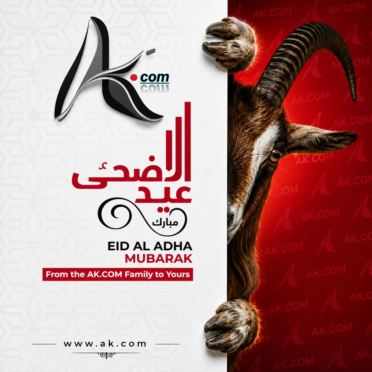 @AK.COM