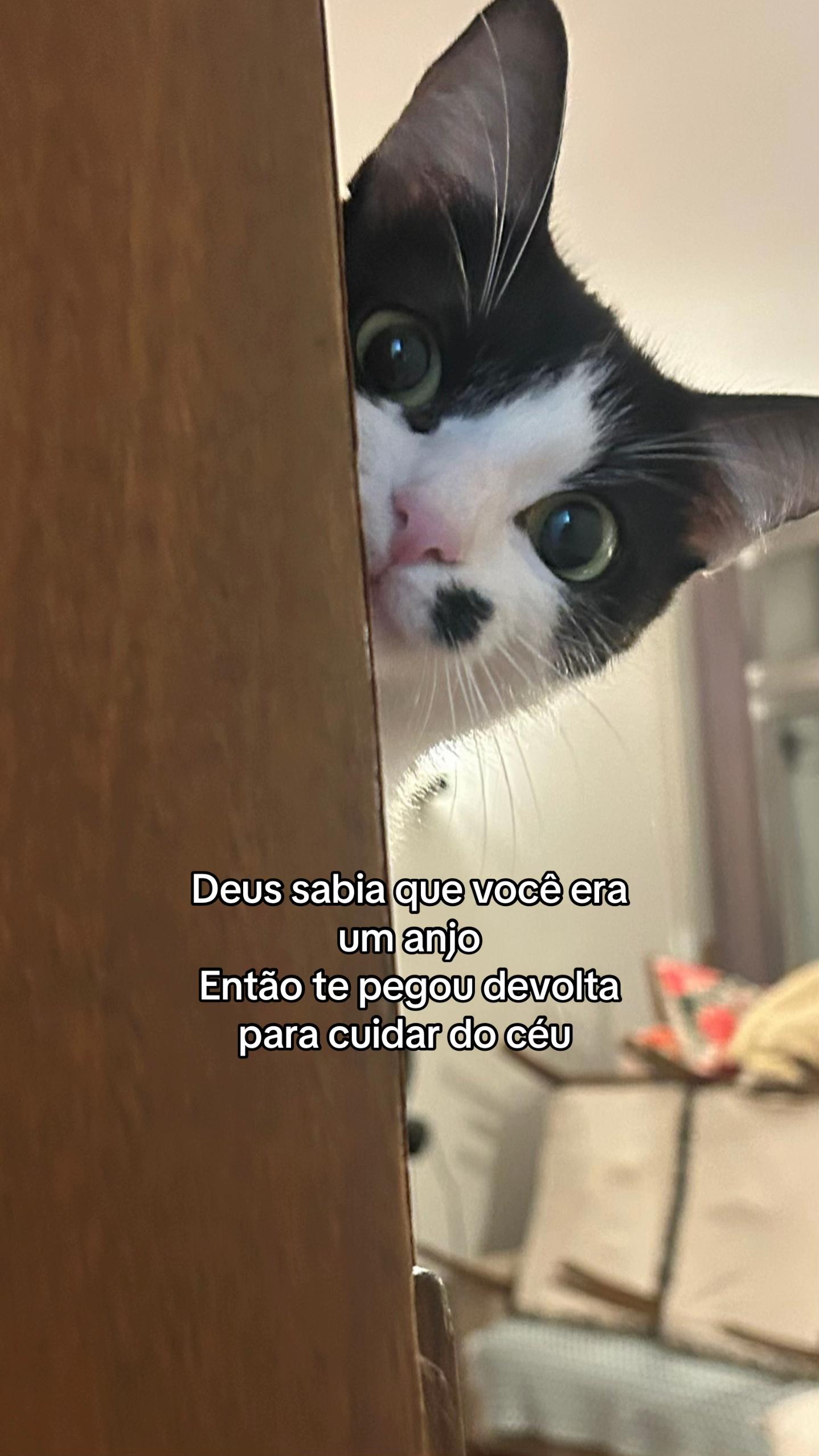 @Caju