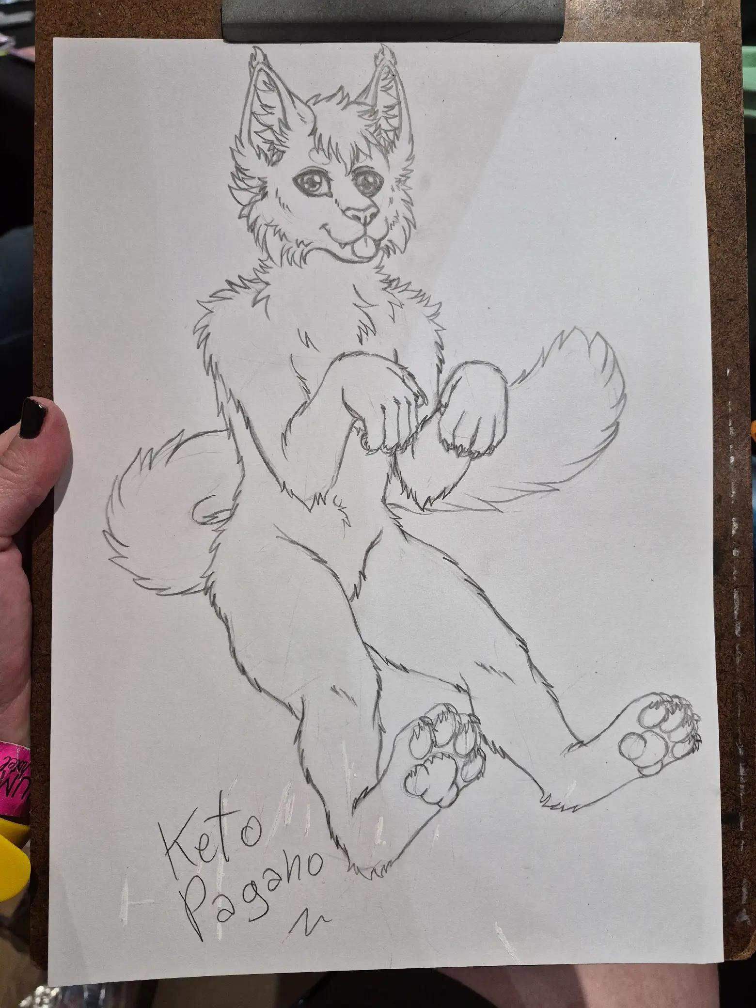 @Keto the cat