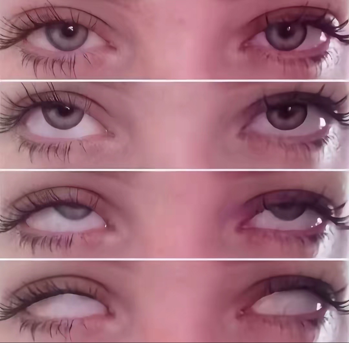 @𝗟𝗲𝗼𝗻