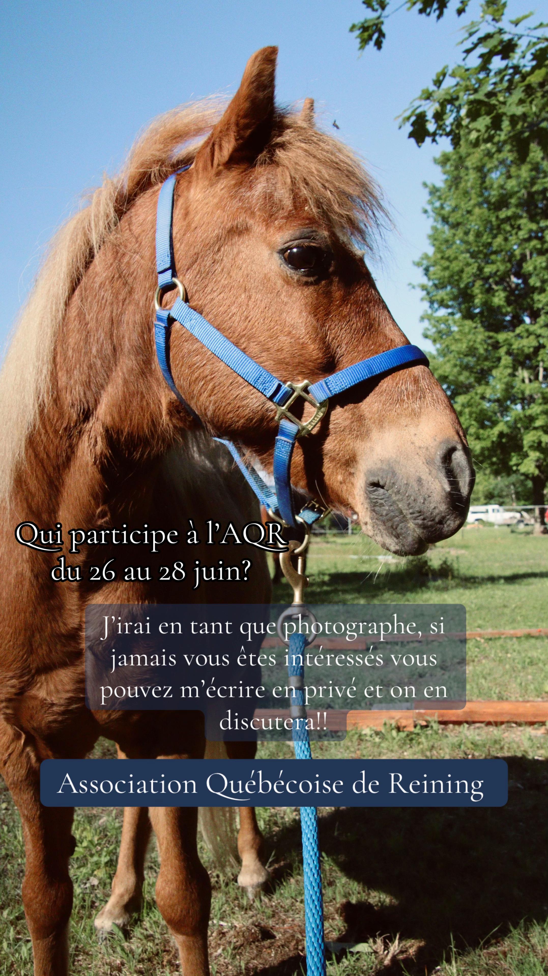 @🐴✨| M&M ranch |🐴✨