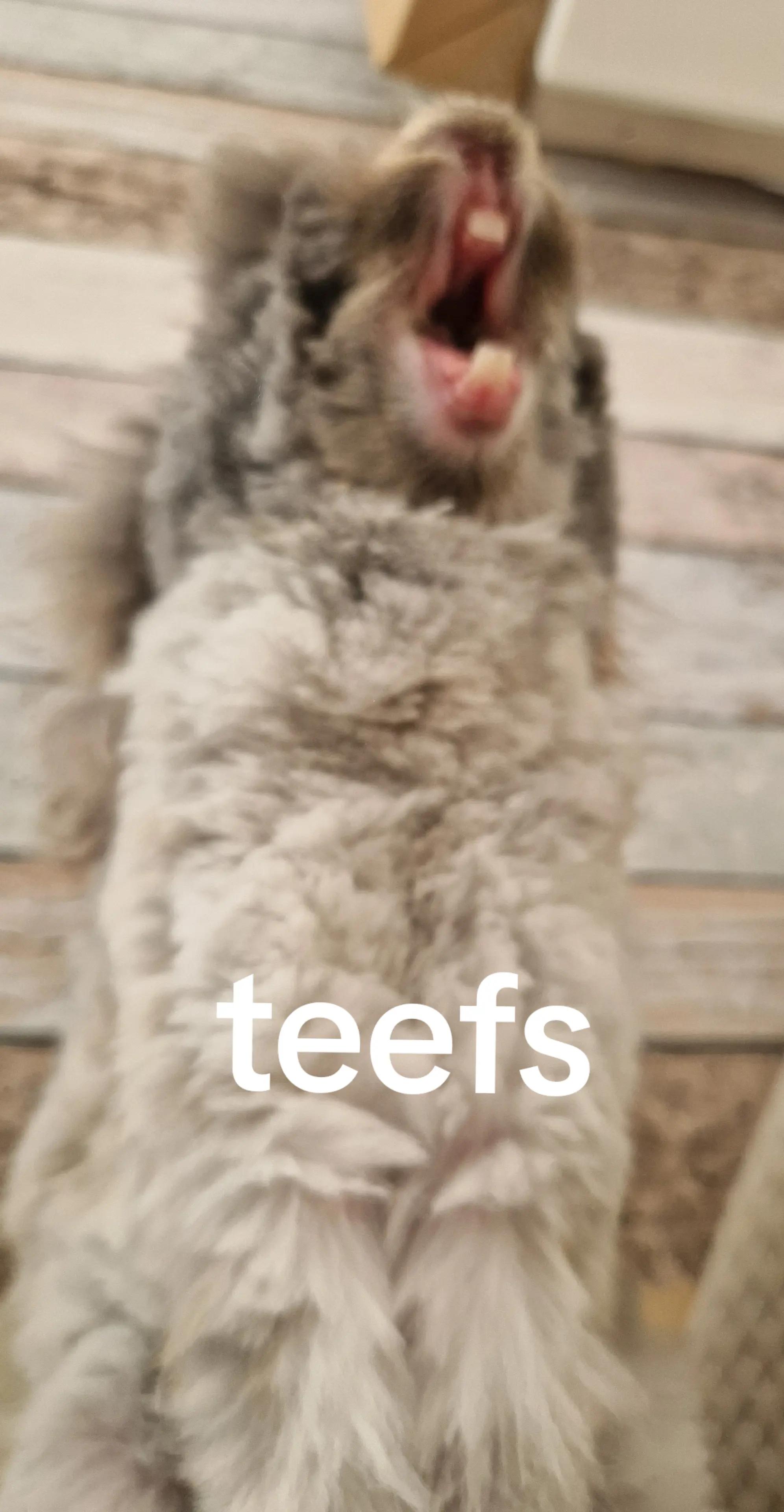 @JiffyPancake