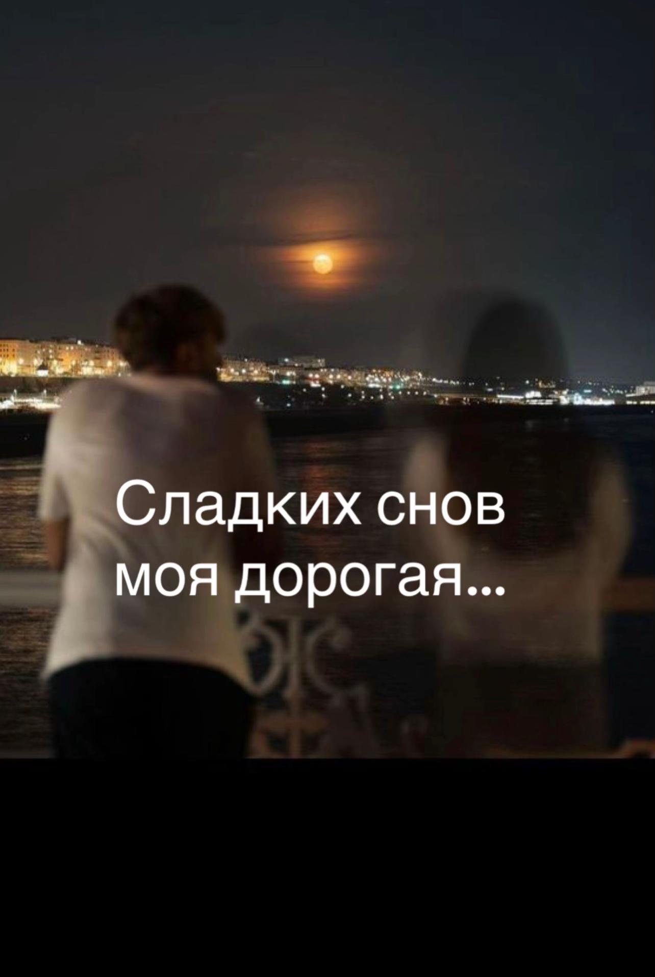@litvinenko_live